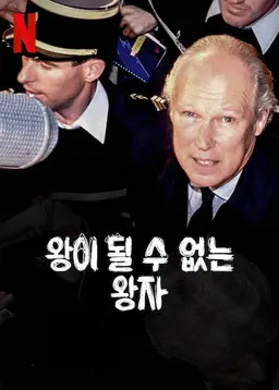 왕이 될 수 없는 왕자
