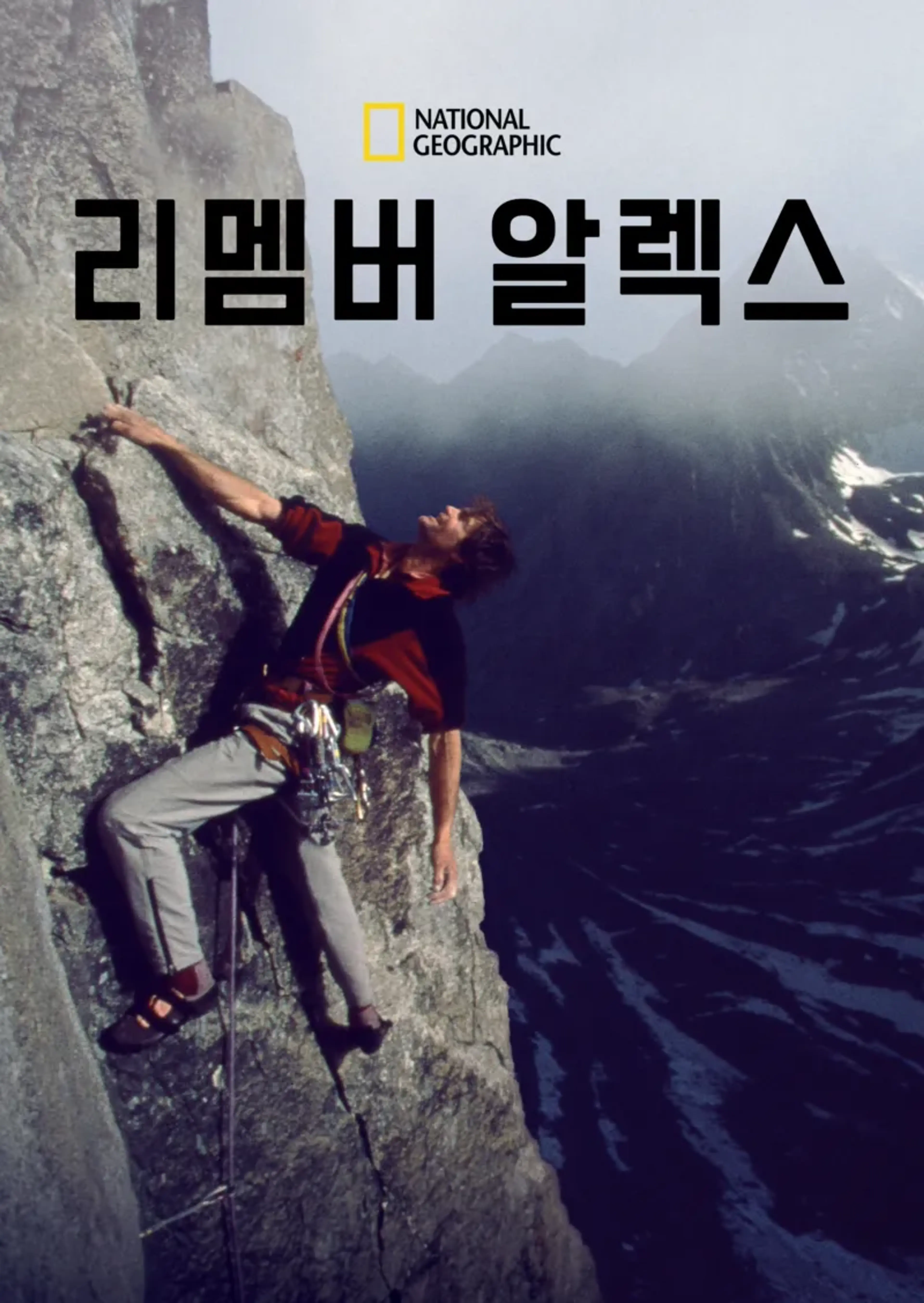 리멤버 알렉스