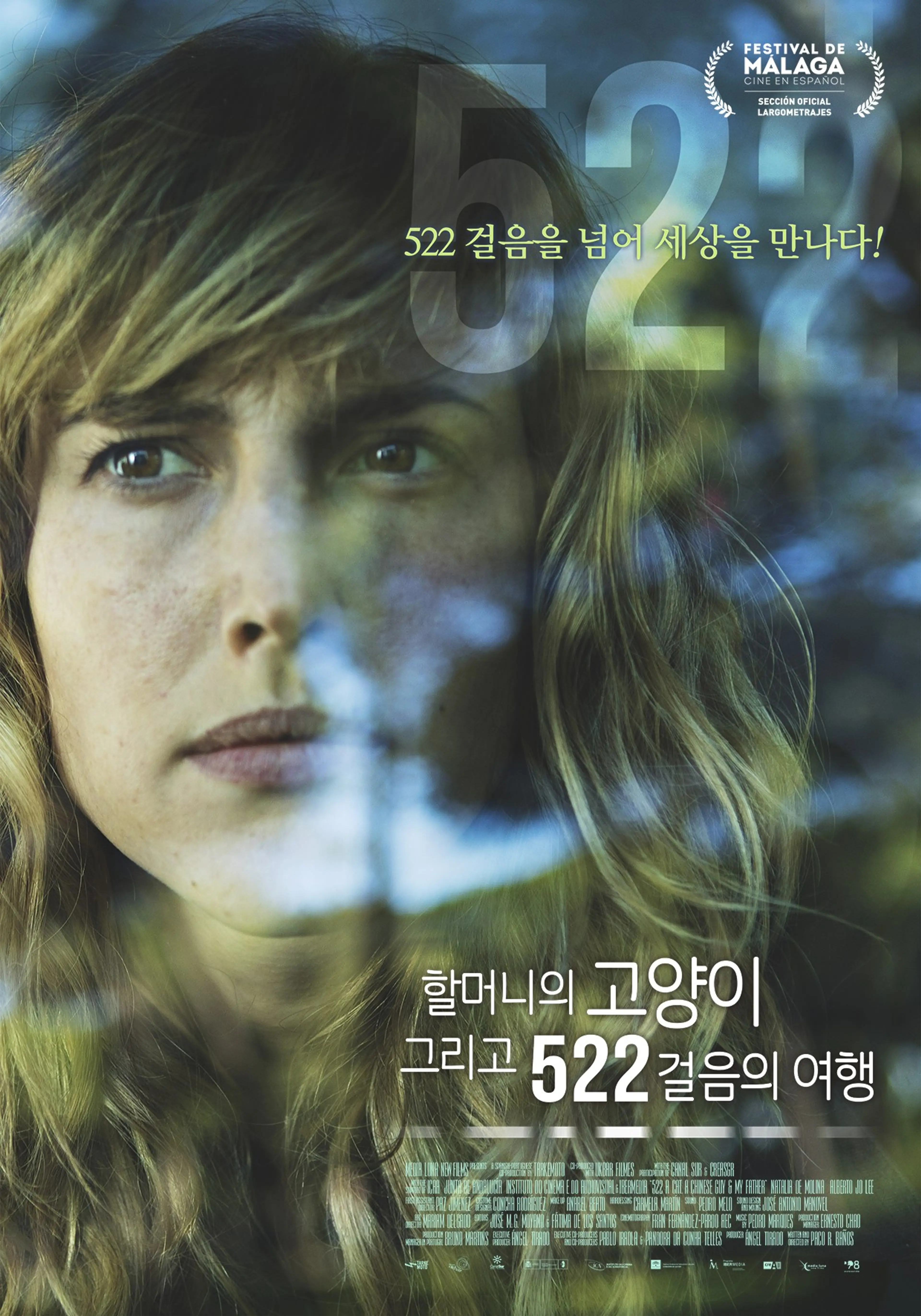 할머니의 고양이 그리고 522걸음의 여행