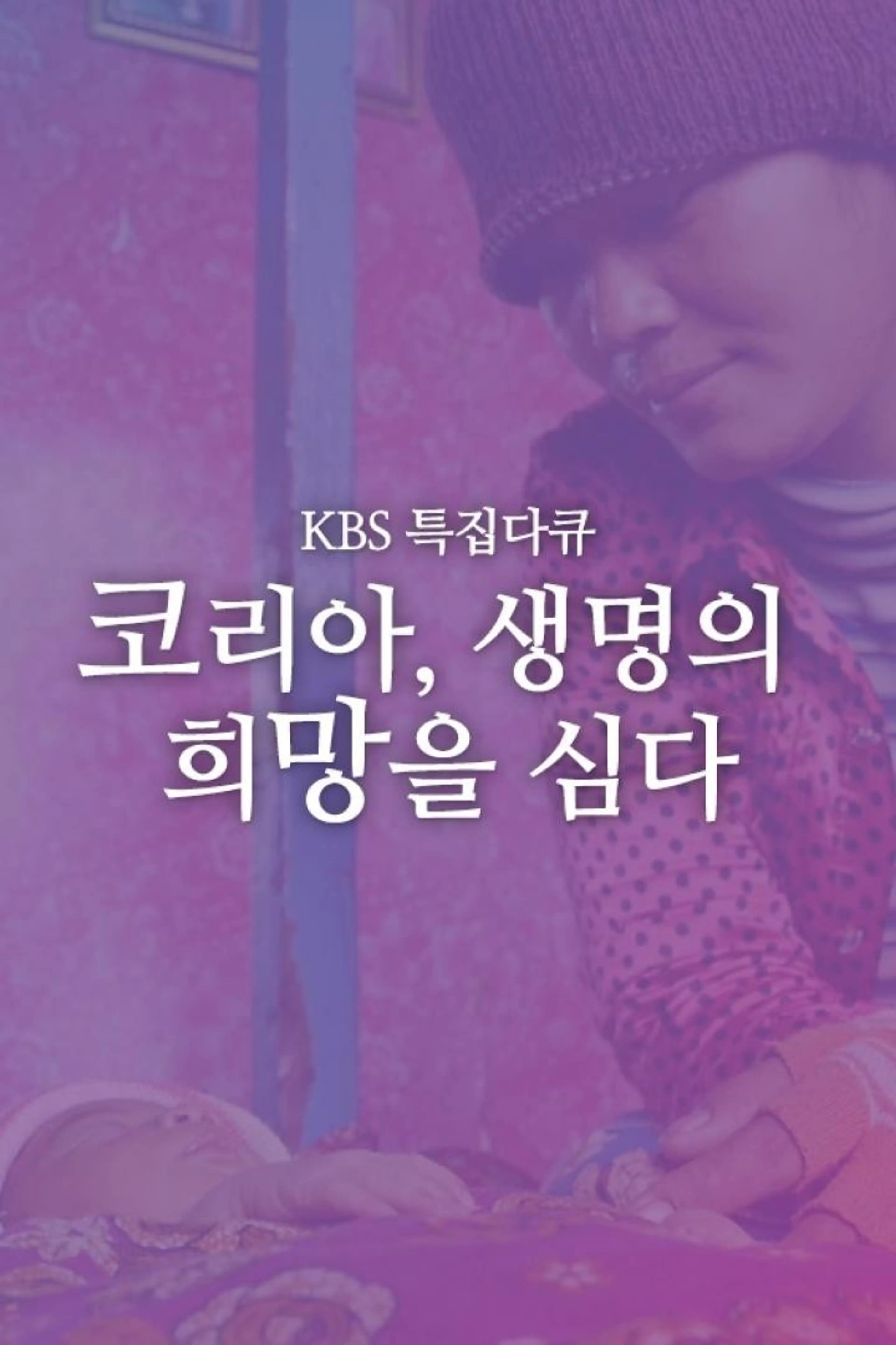 코리아 생명의 희망을 심다