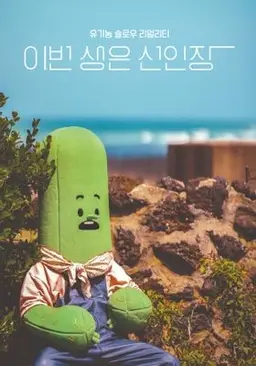 이번 생은 선인장