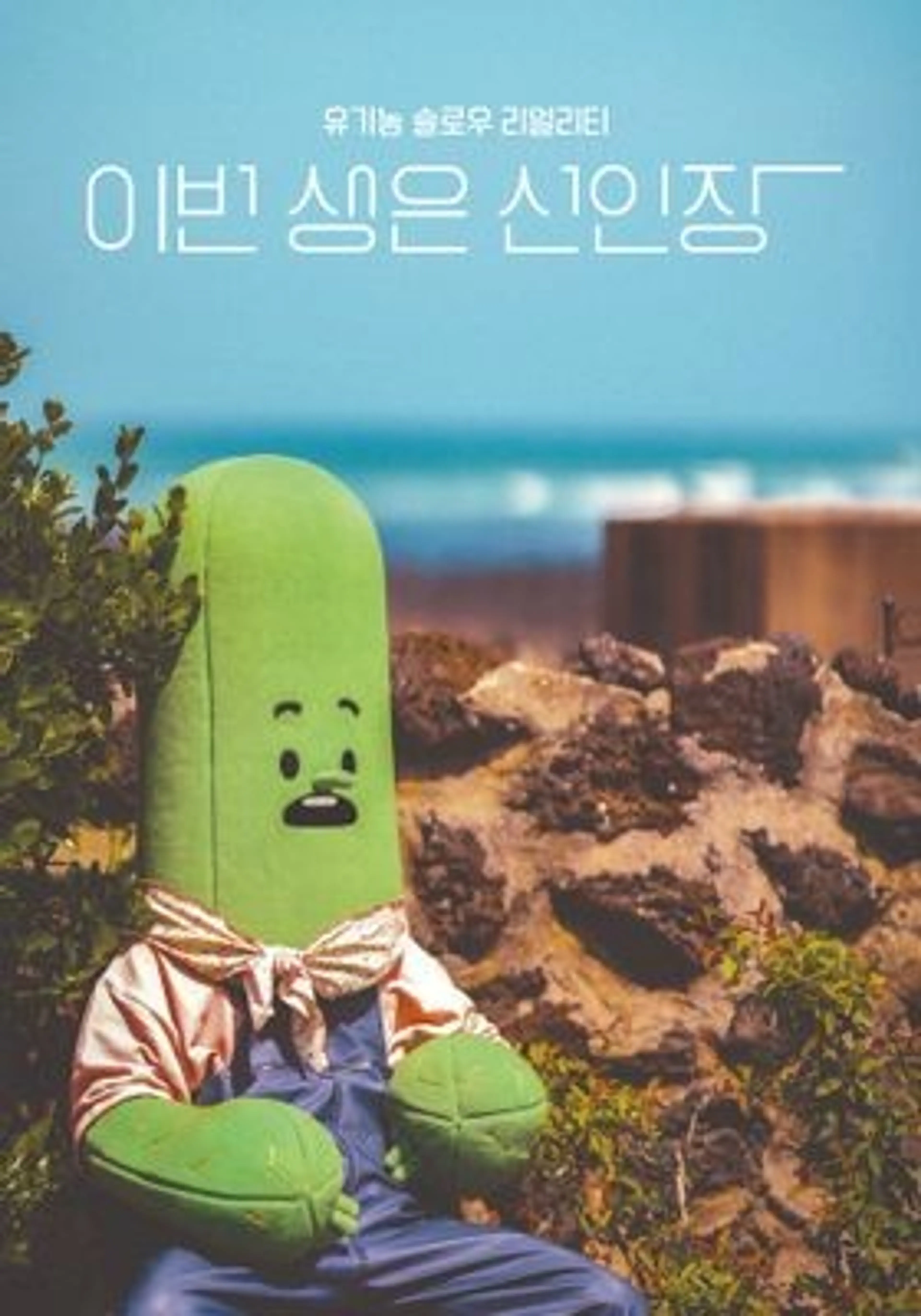 이번 생은 선인장