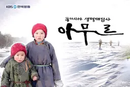 아무르