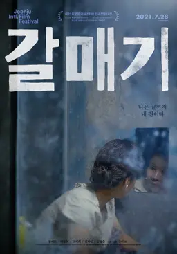 갈매기