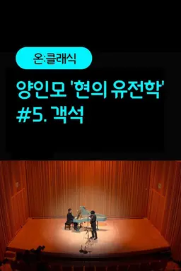 양인모 '현의 유전학' #5. 객석