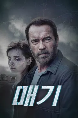 매기