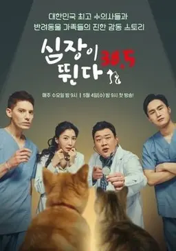 심장이 뛴다 38.5