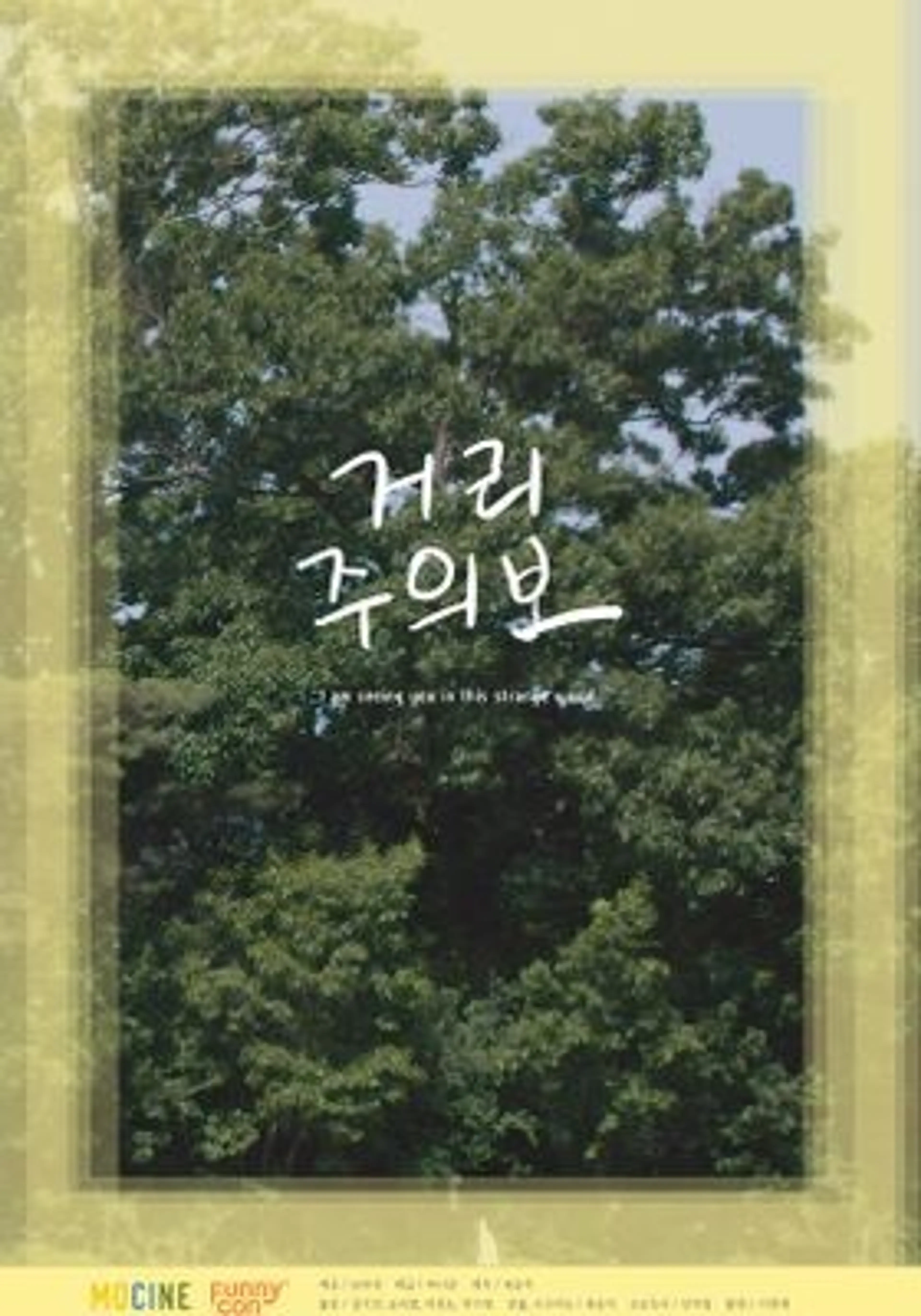 거리주의보