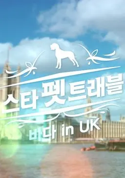 스타 펫 트래블 바다 in UK