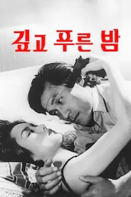 깊고 푸른 밤