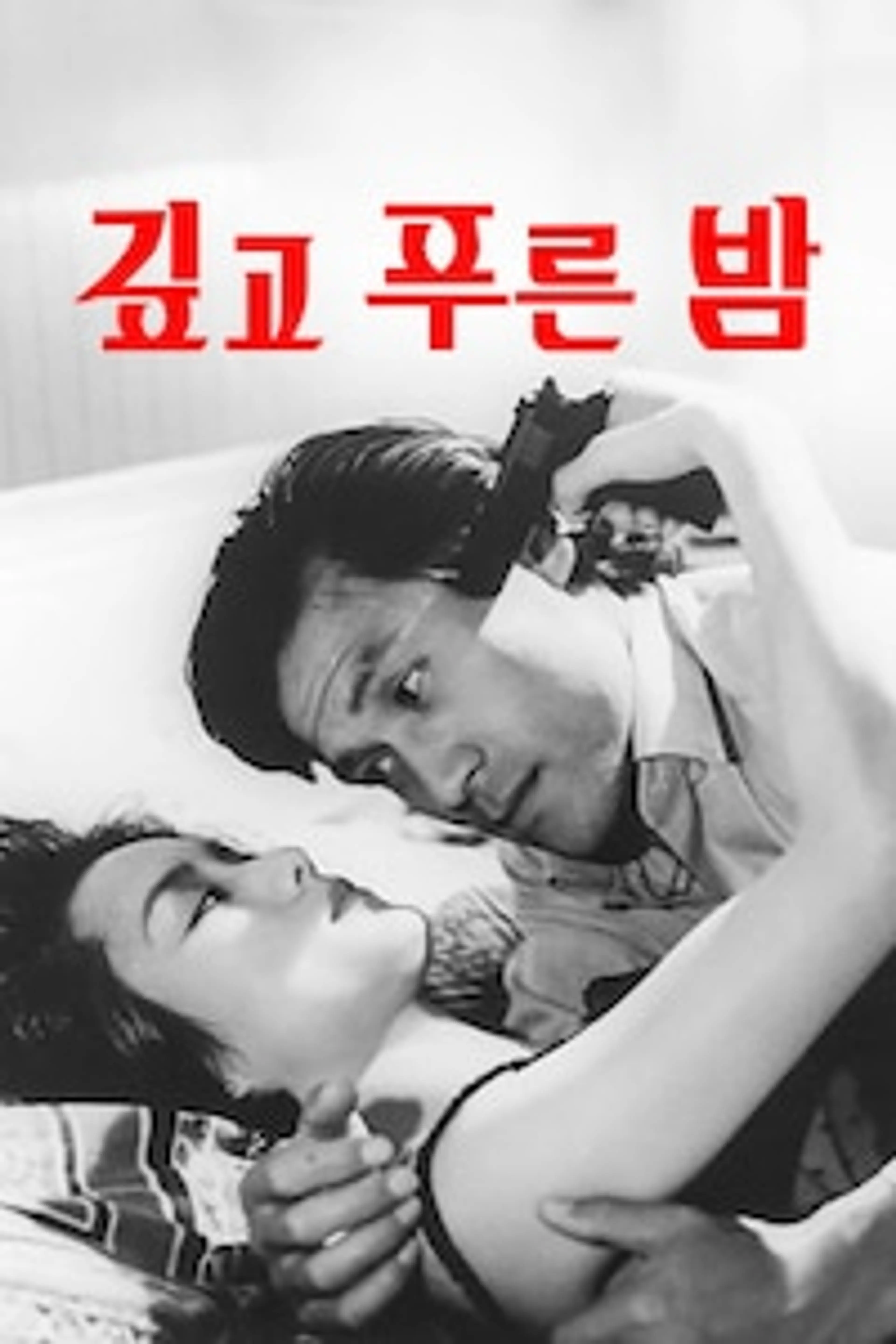 깊고 푸른 밤