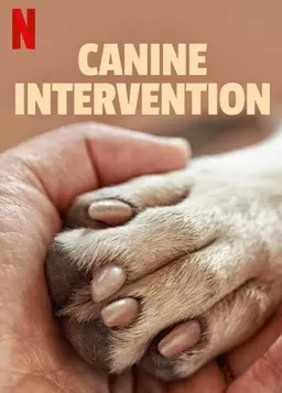 우리 개를 도와줘!