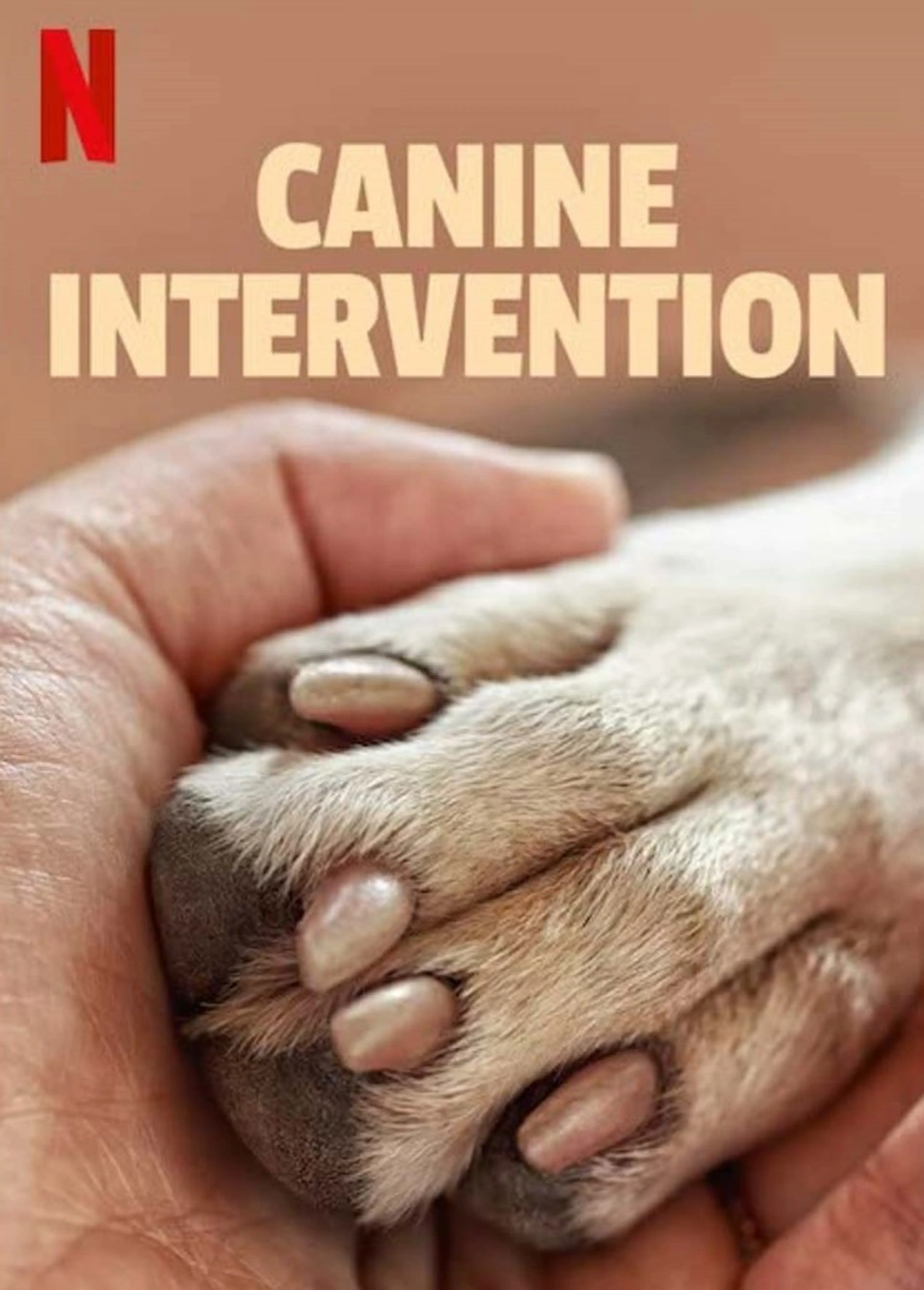 우리 개를 도와줘!