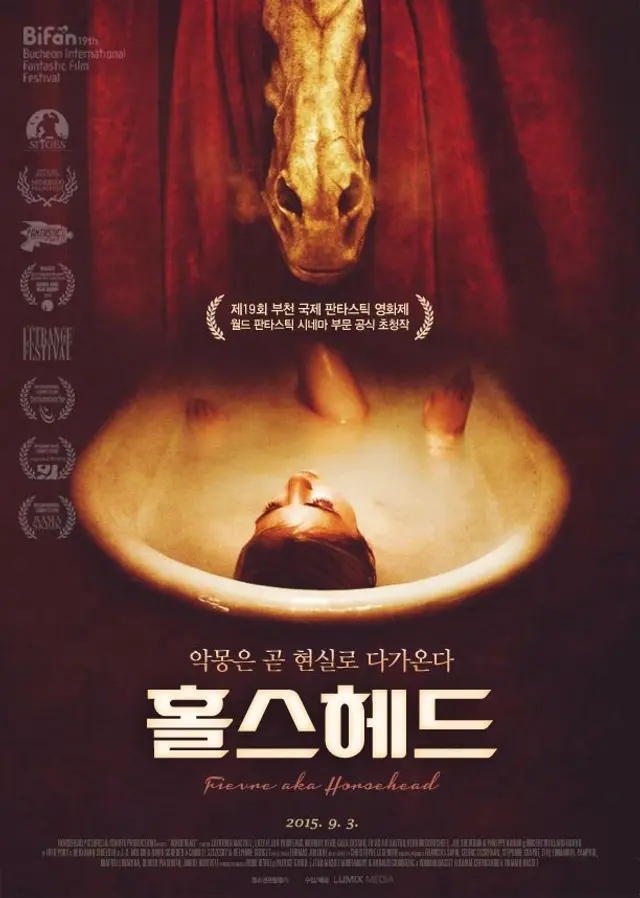 홀스헤드