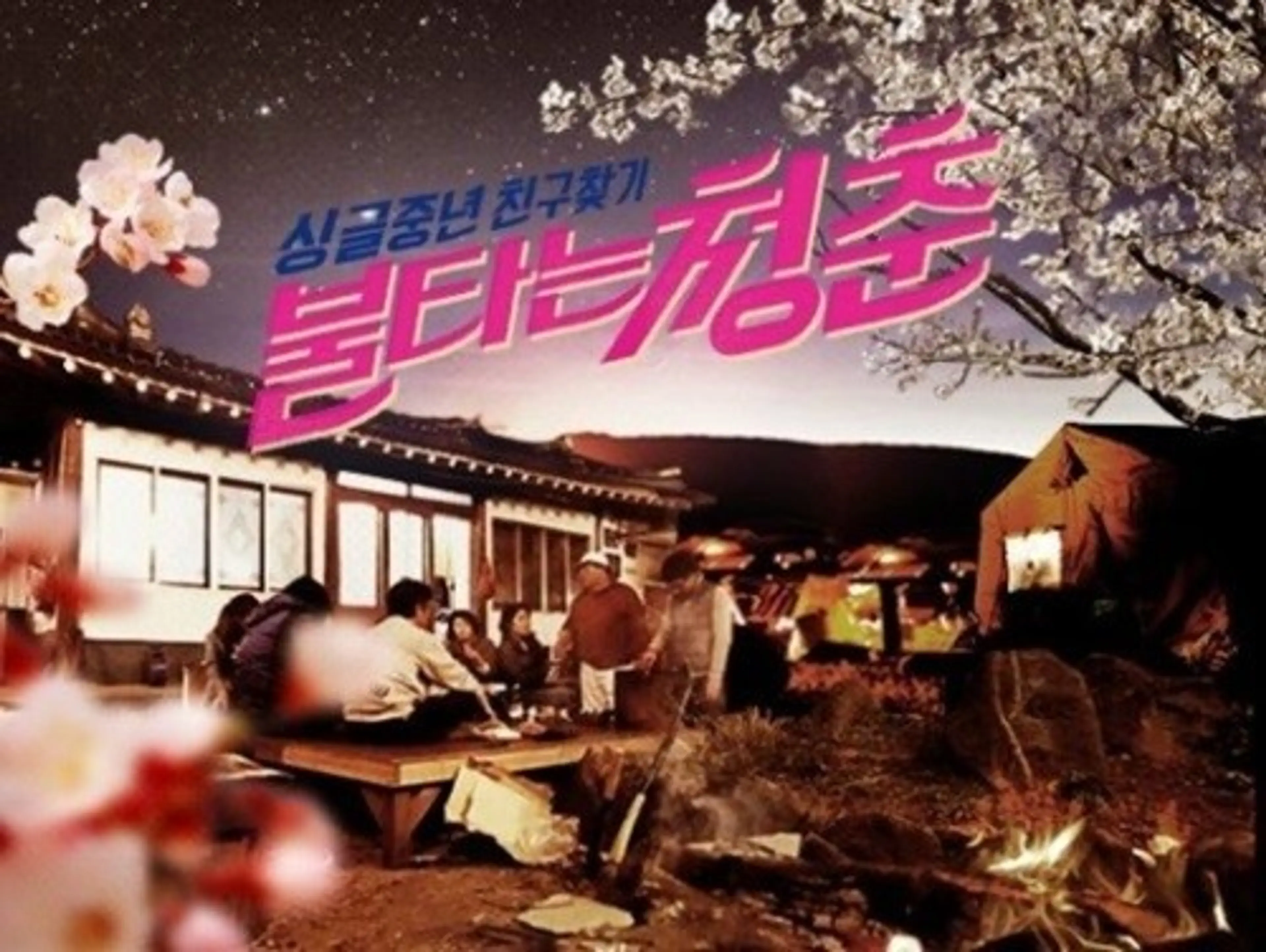 불타는 청춘