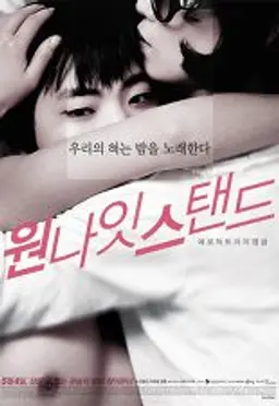 원 나잇 스탠드