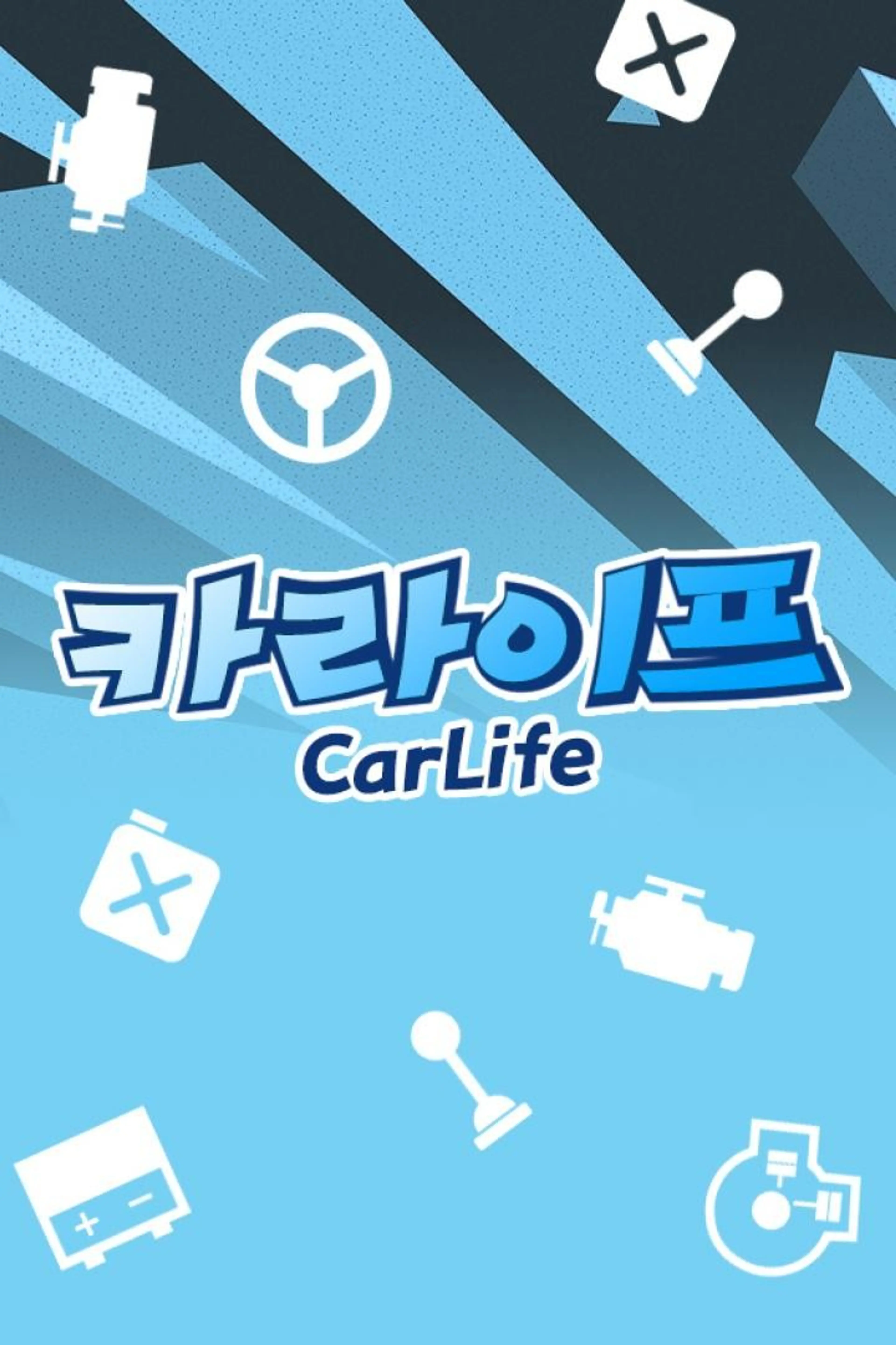 카 라이프