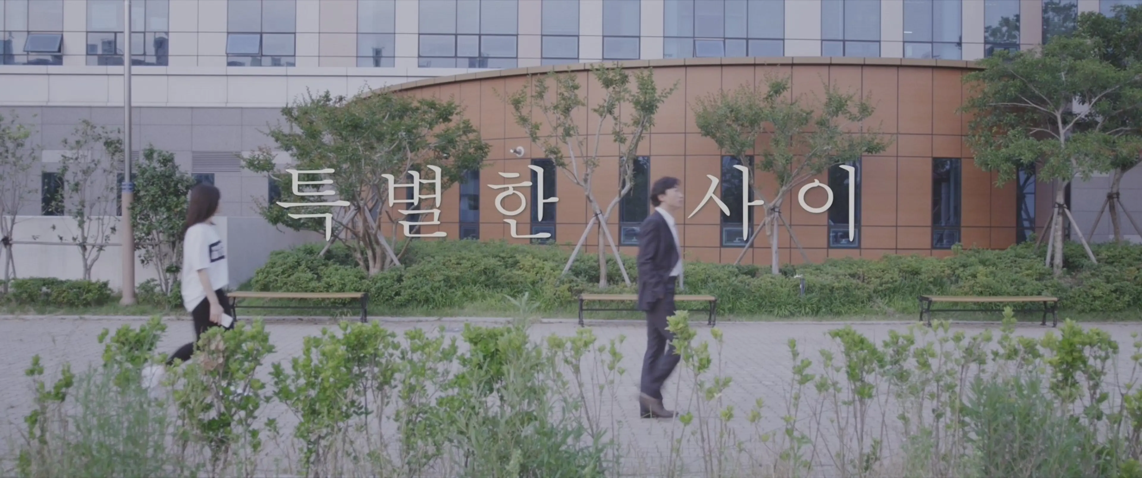 특별한 사이