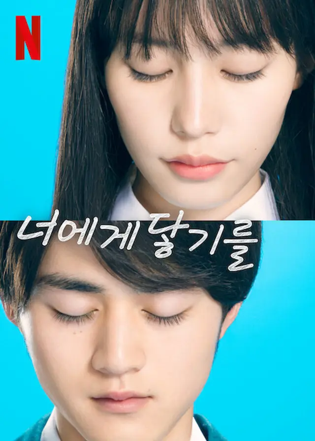 너에게 닿기를