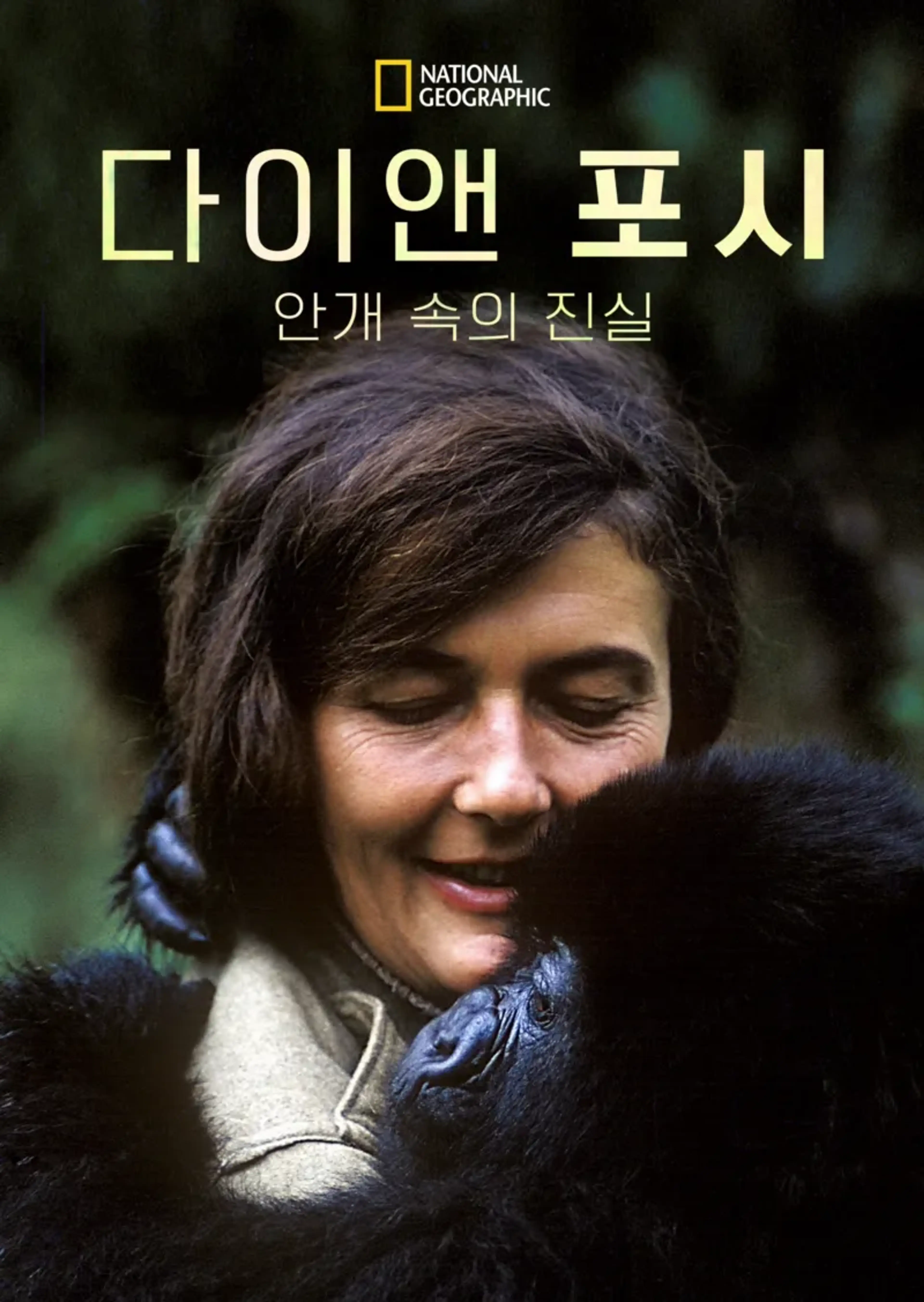 다이앤 포시: 안개 속의 진실