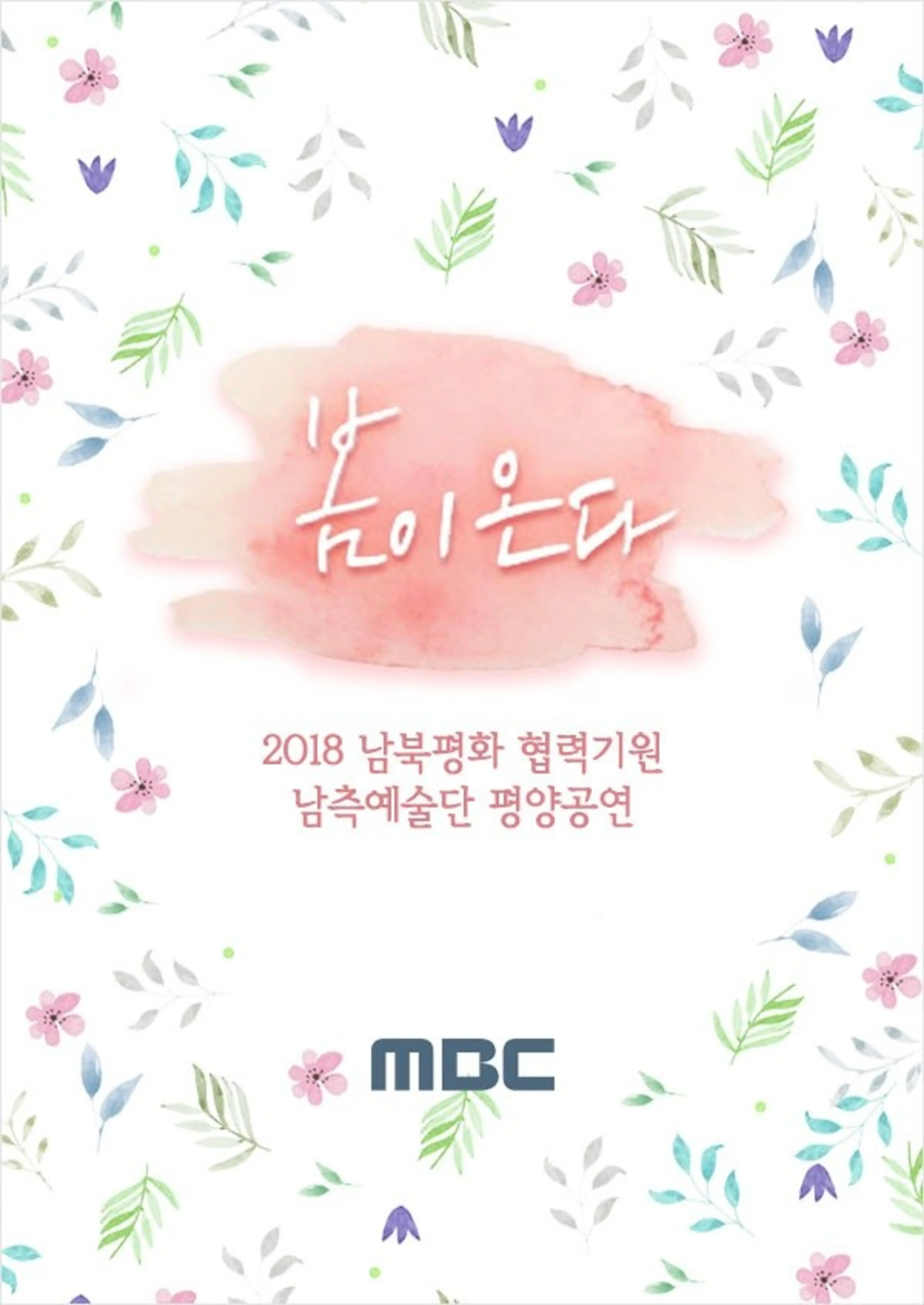 2018 남북평화협력기원 평양공연