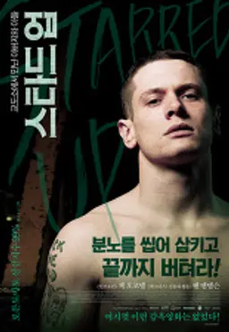 스타드 업