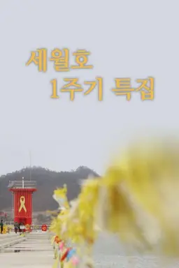 세월호 1주기 특집