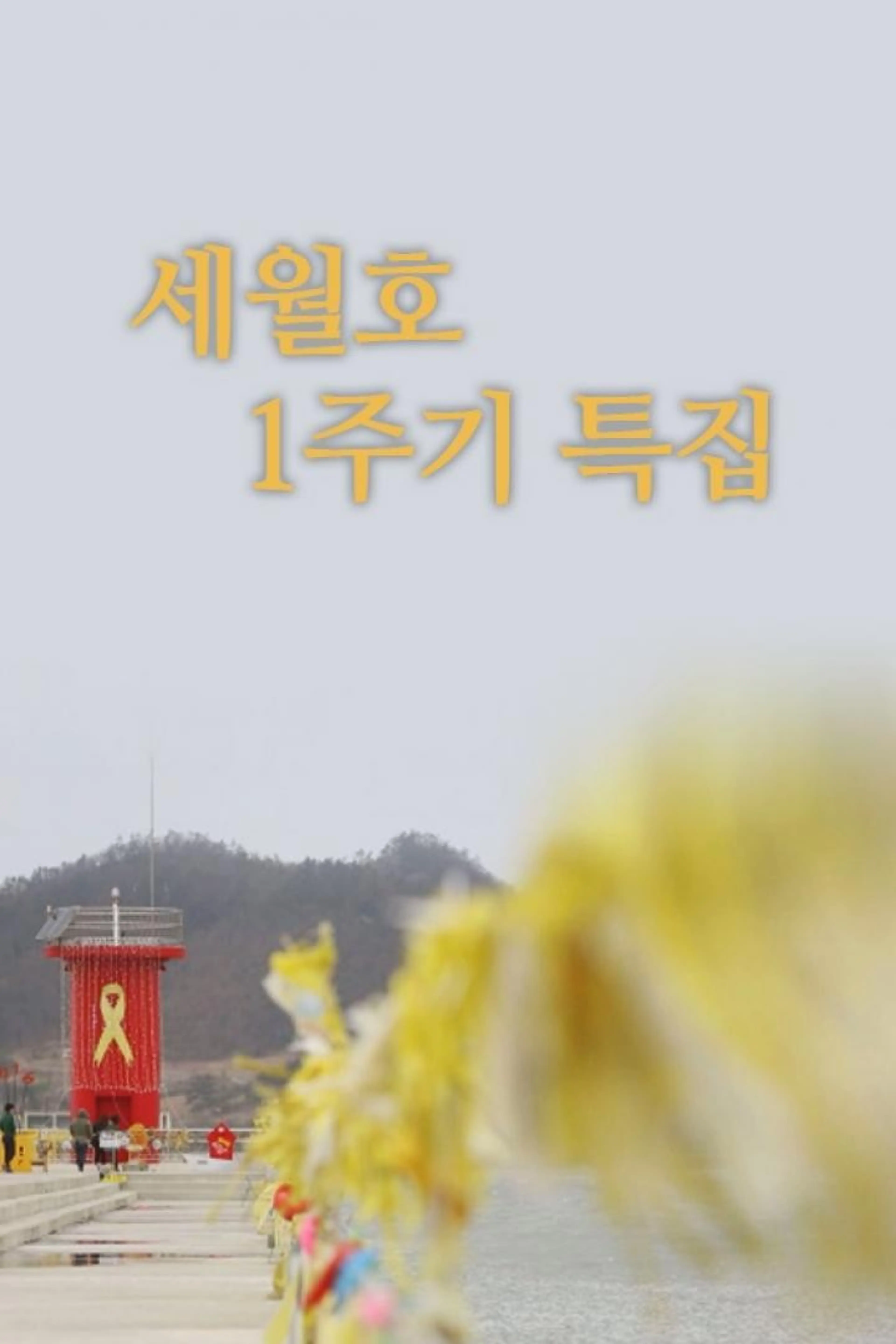 세월호 1주기 특집