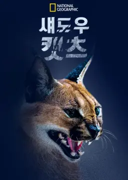 섀도우 캣츠