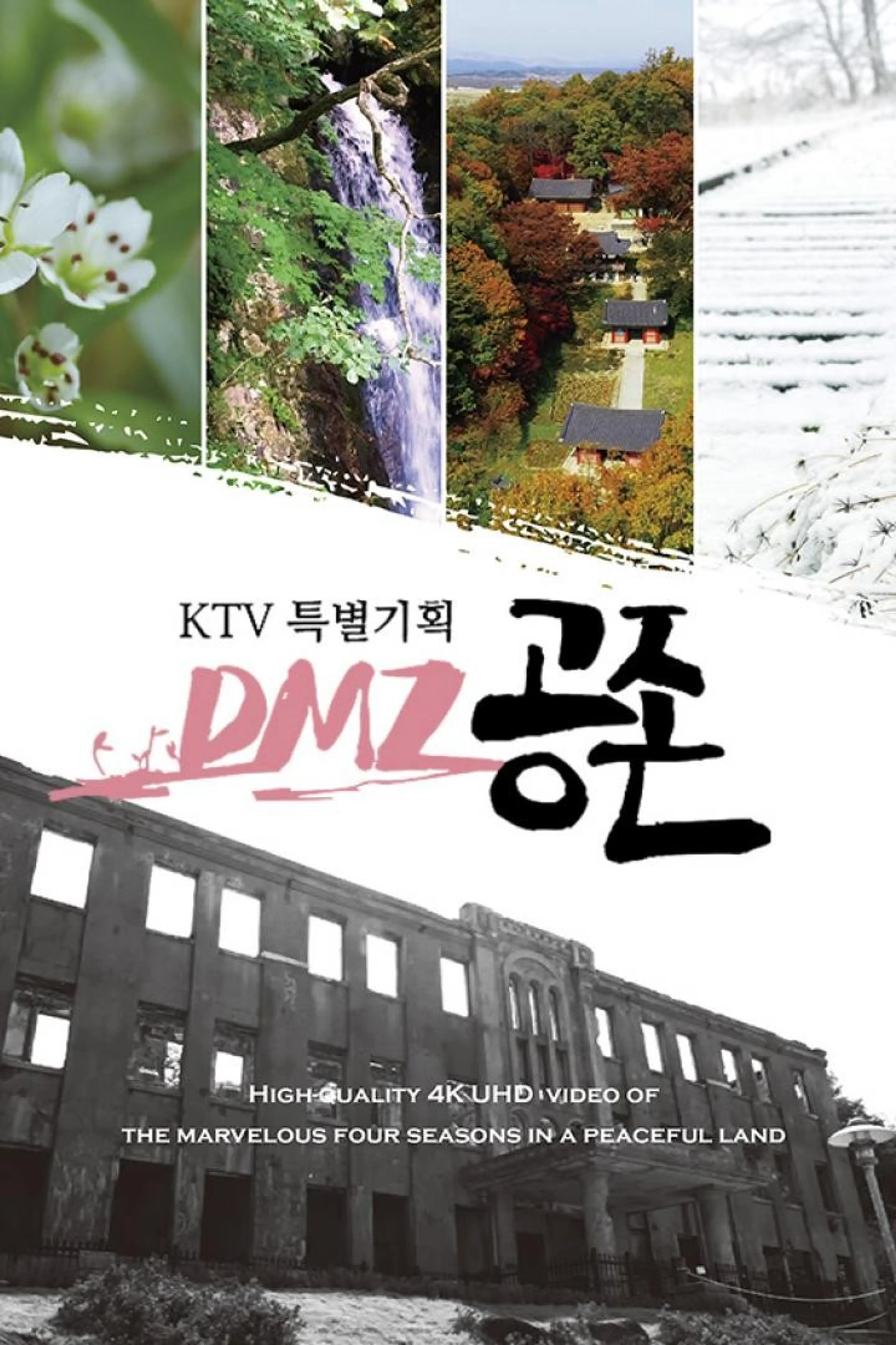 KTV 특별기획 ‘DMZ 공존’