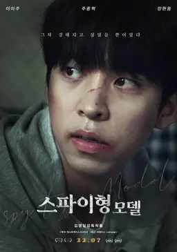 스파이형 모델