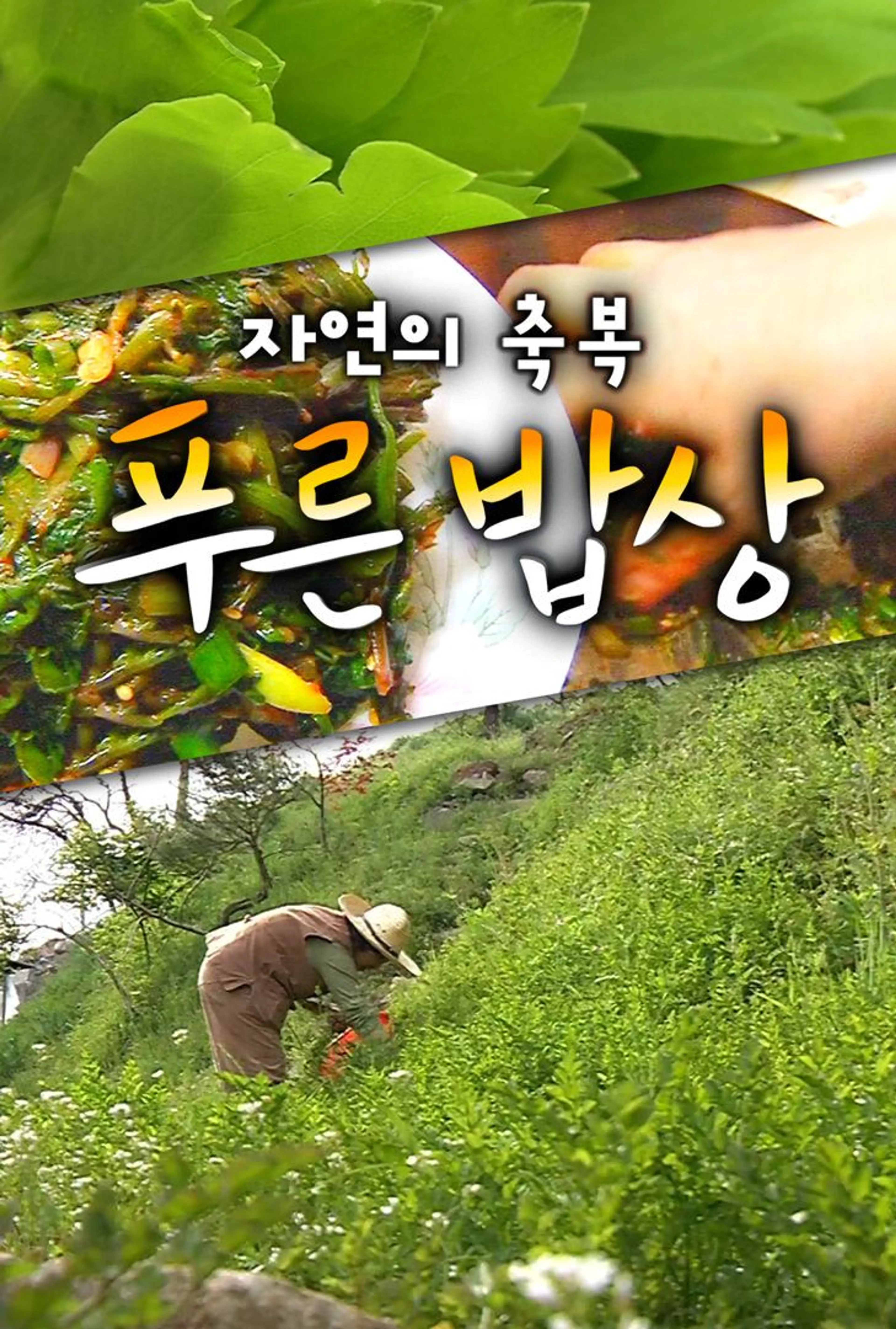 자연의 축복 푸른밥상