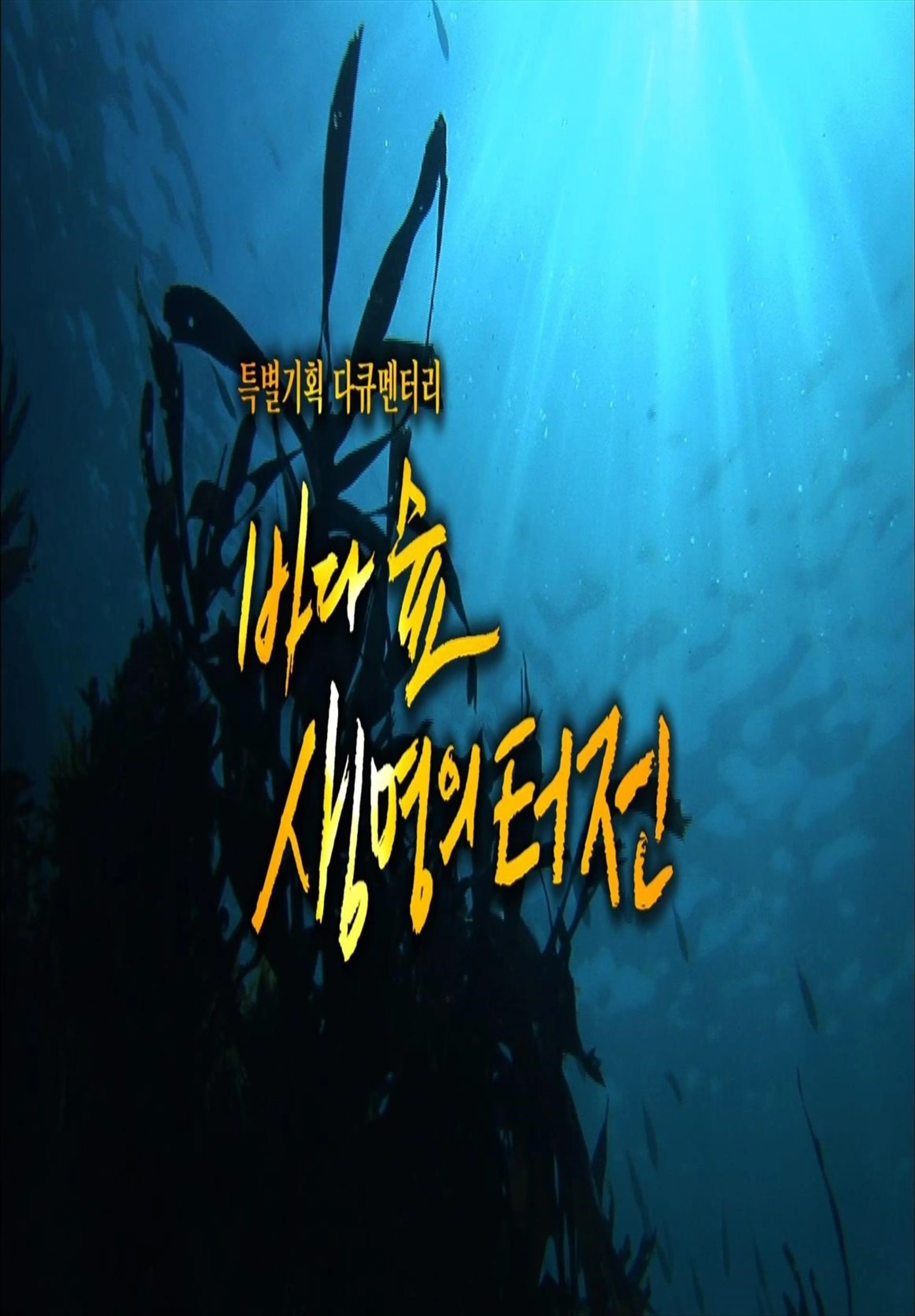 바다 숲, 생명의 터전