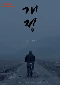 개정