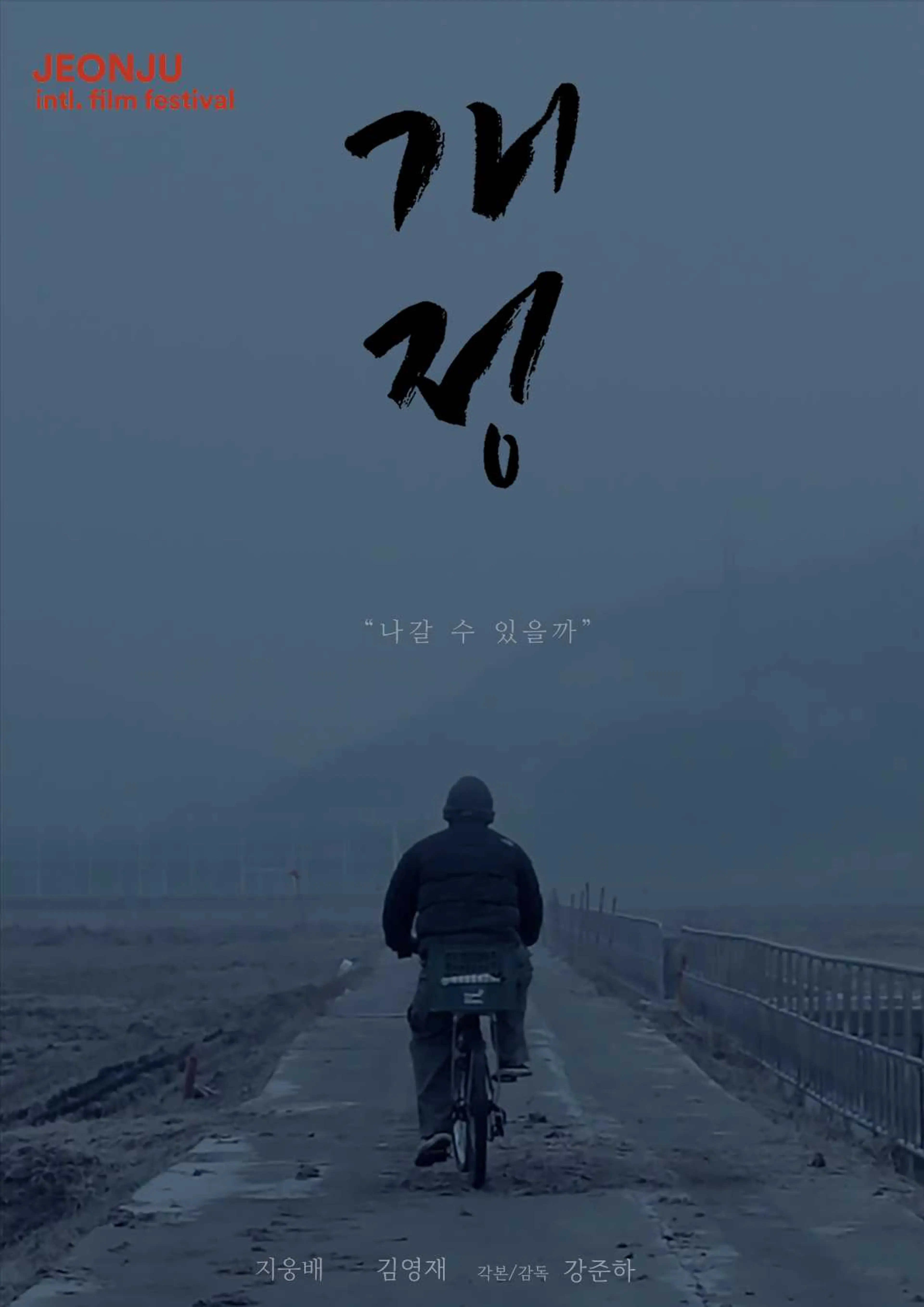 개정