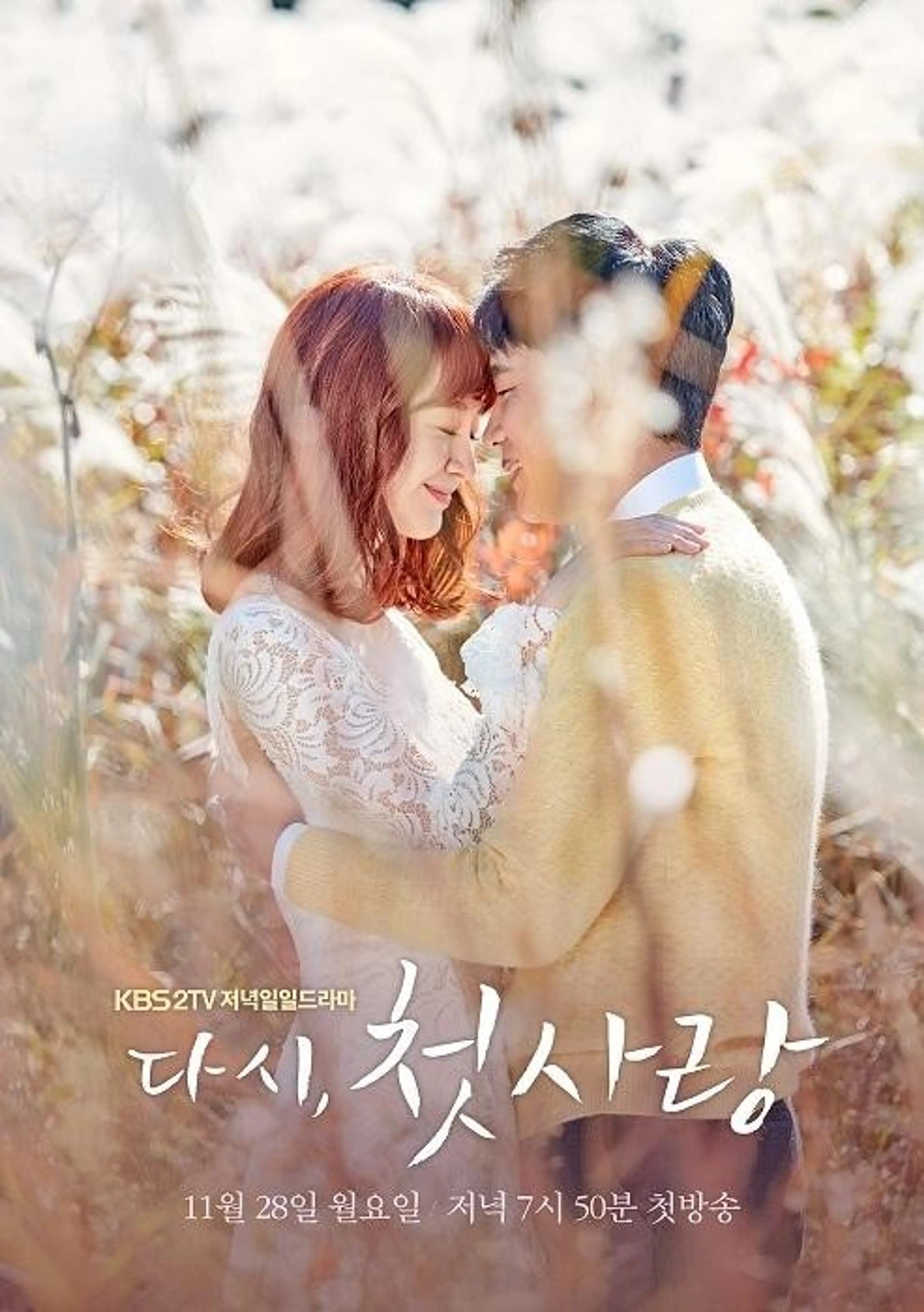 다시 첫사랑