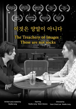 이것은 양말이 아니다
