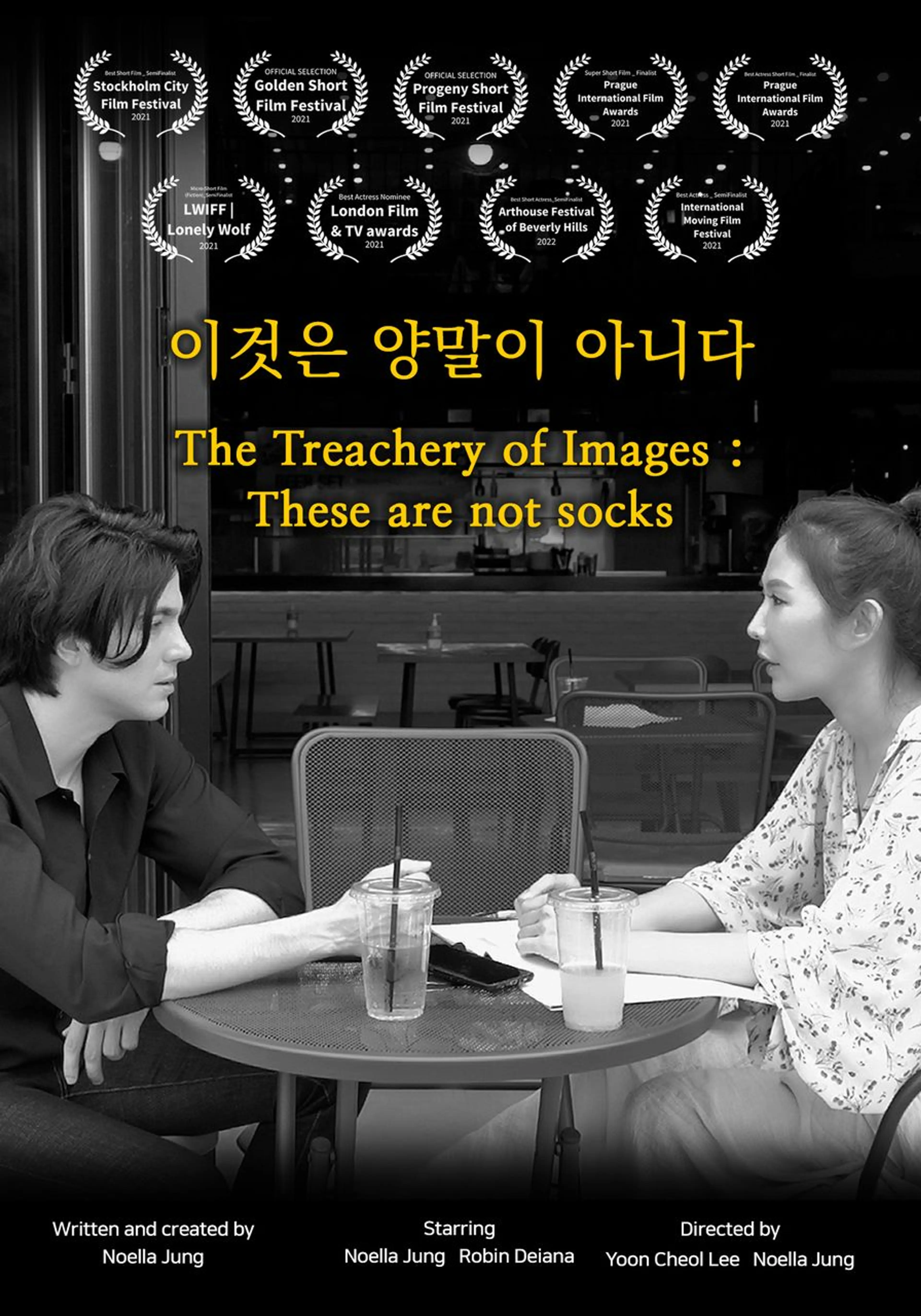 이것은 양말이 아니다