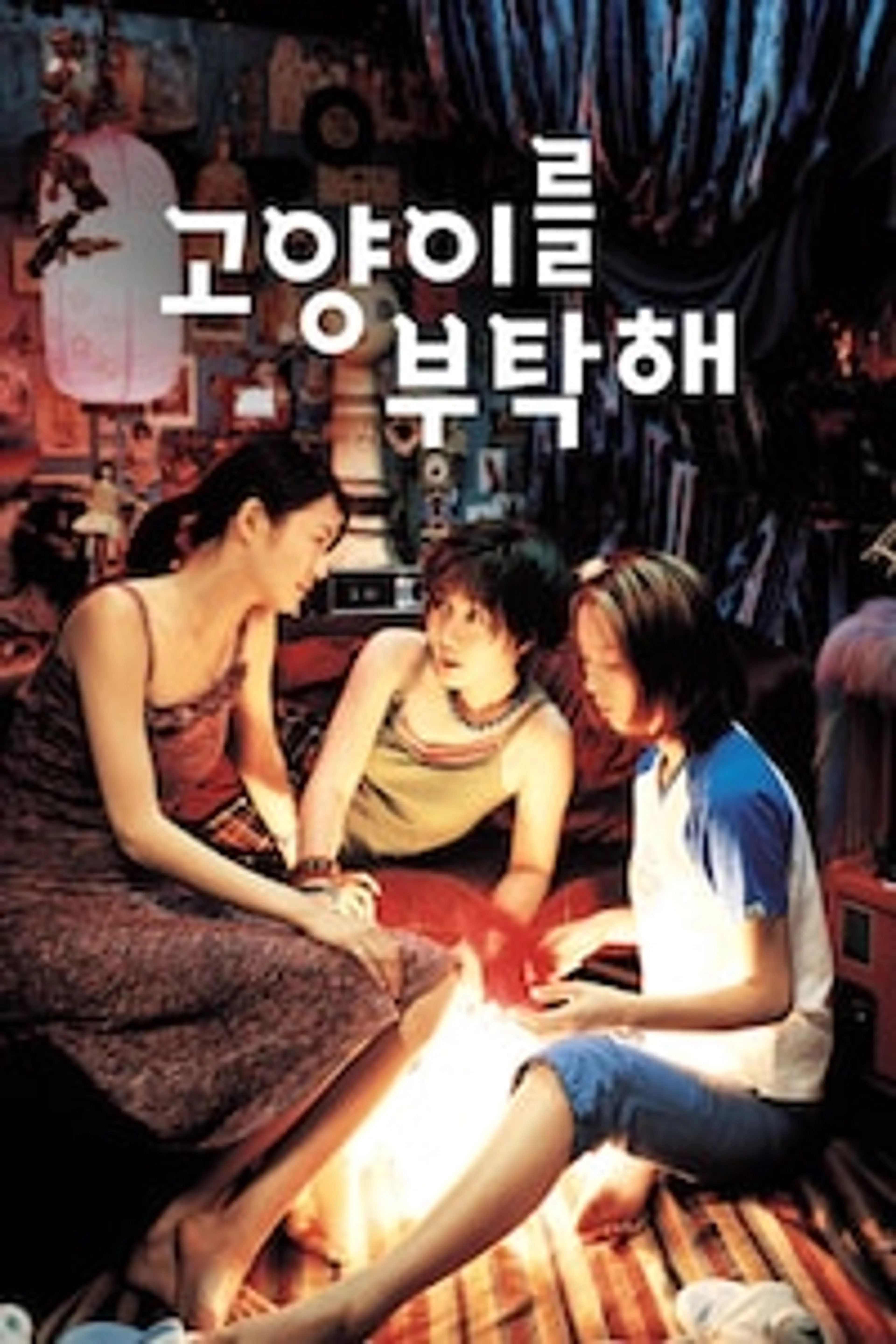 고양이를 부탁해