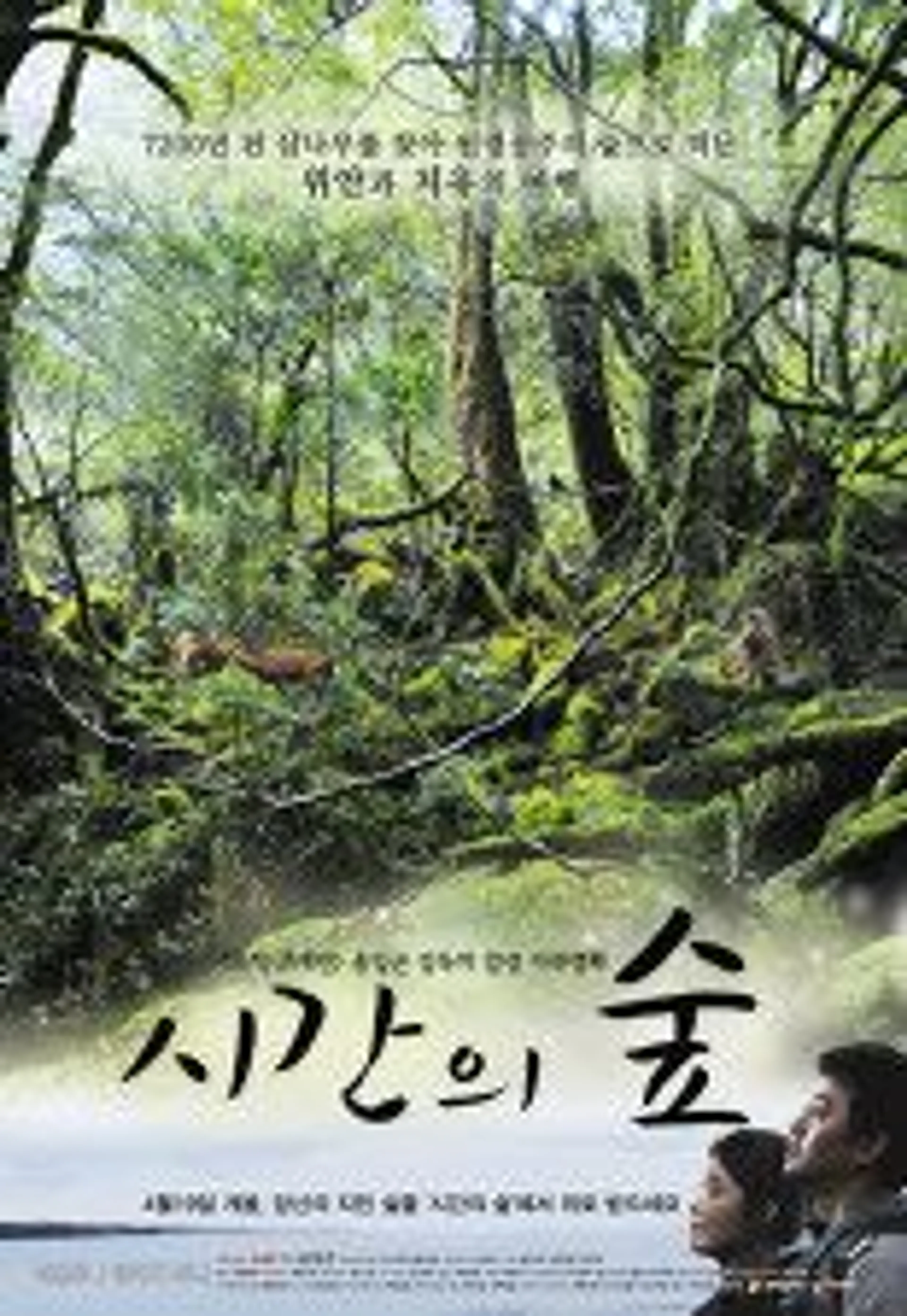 시간의 숲
