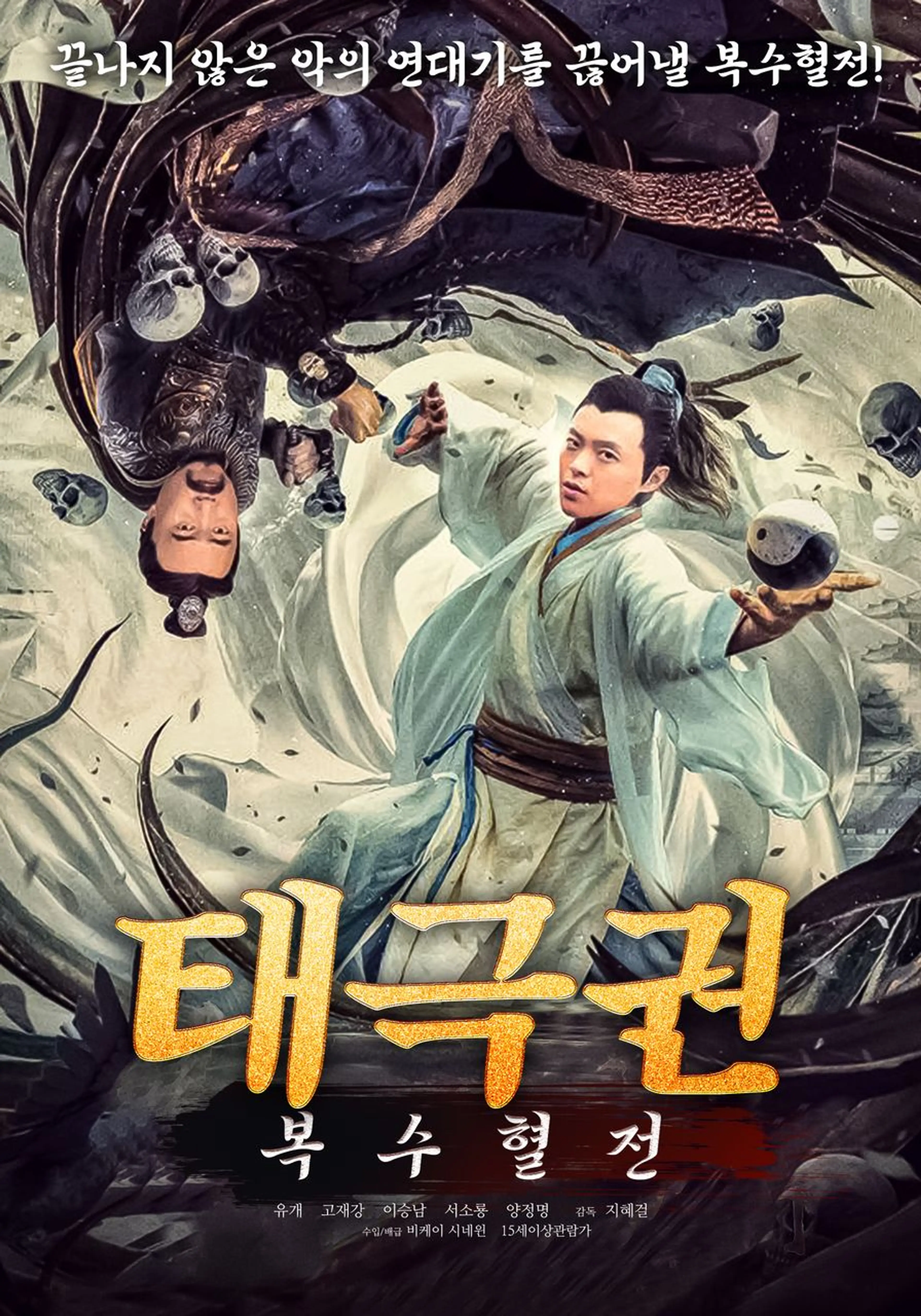 태극권: 복수혈전