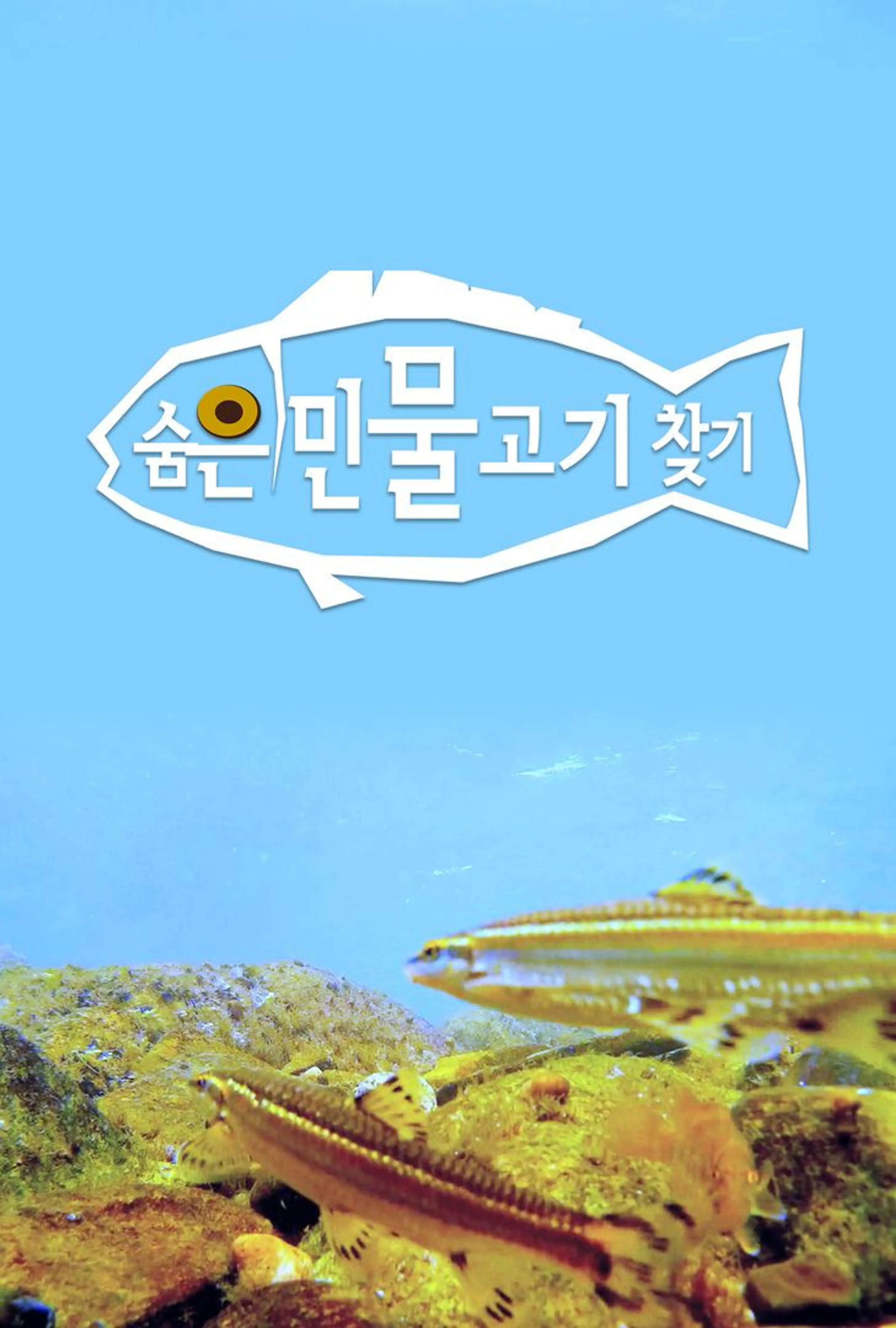 숨은 민물고기 찾기