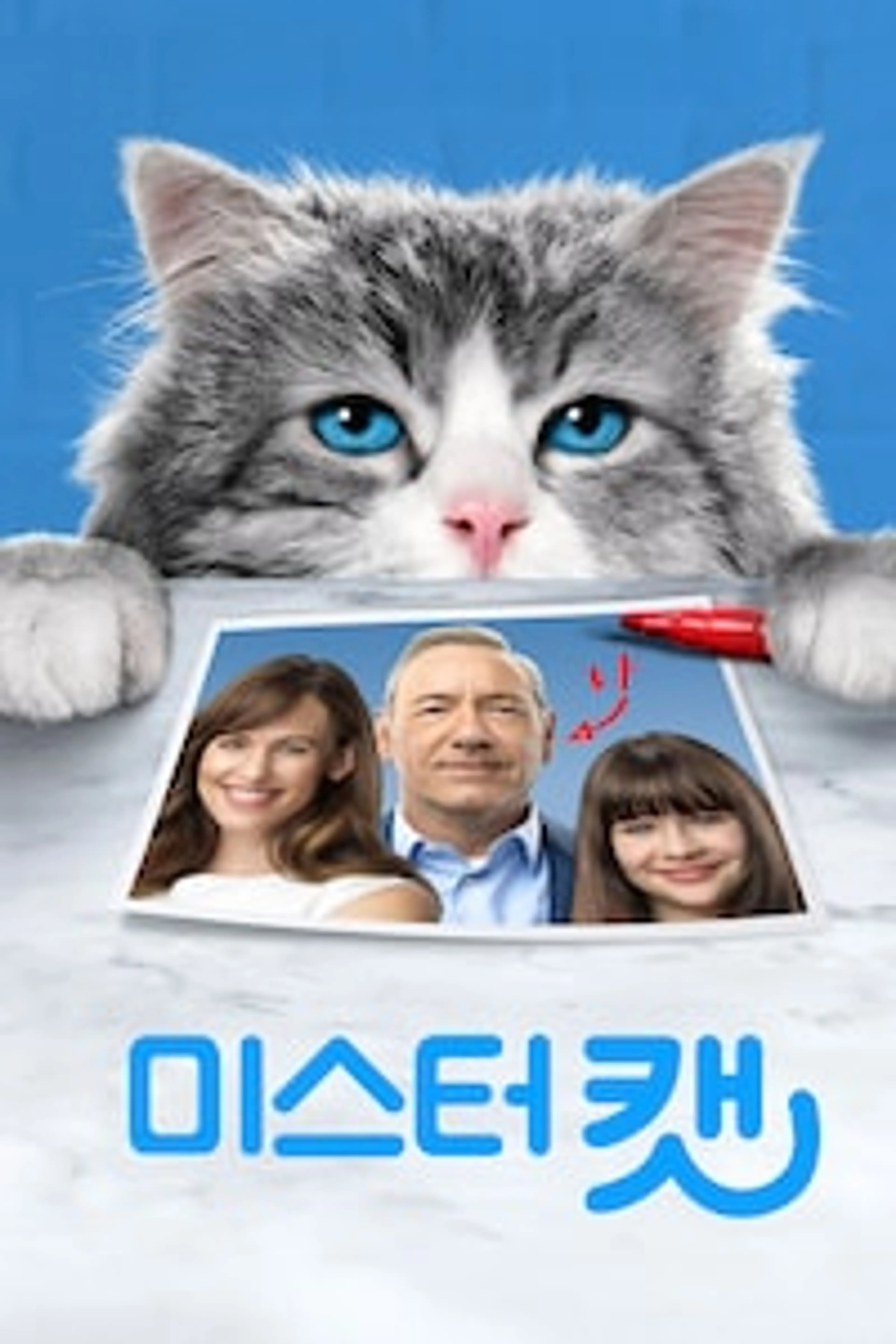 미스터 캣