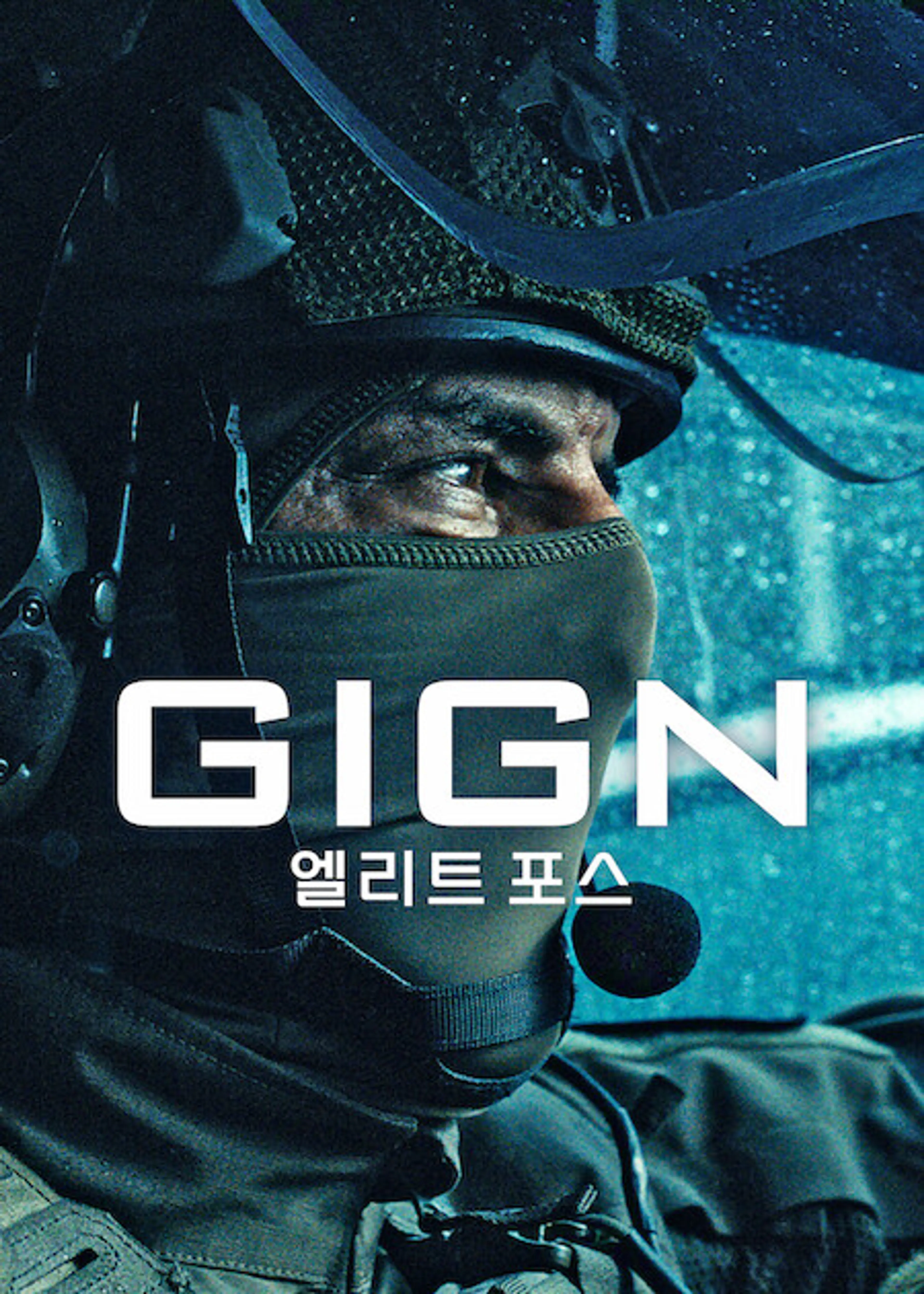GIGN: 엘리트 포스