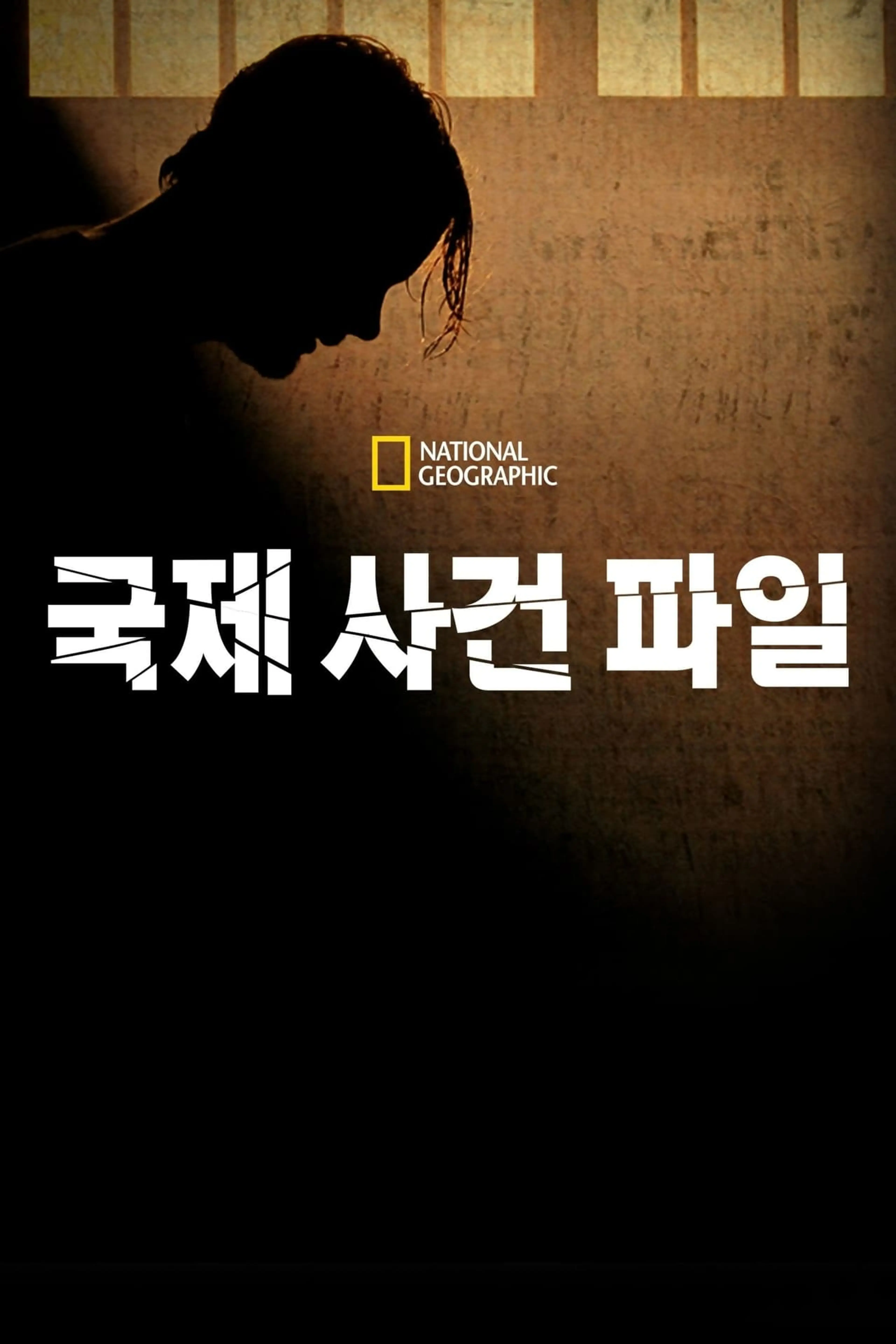 국제 사건 파일 시즌12