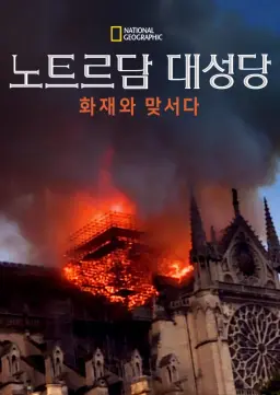 노트르담 대성당: 화재와 맞서다