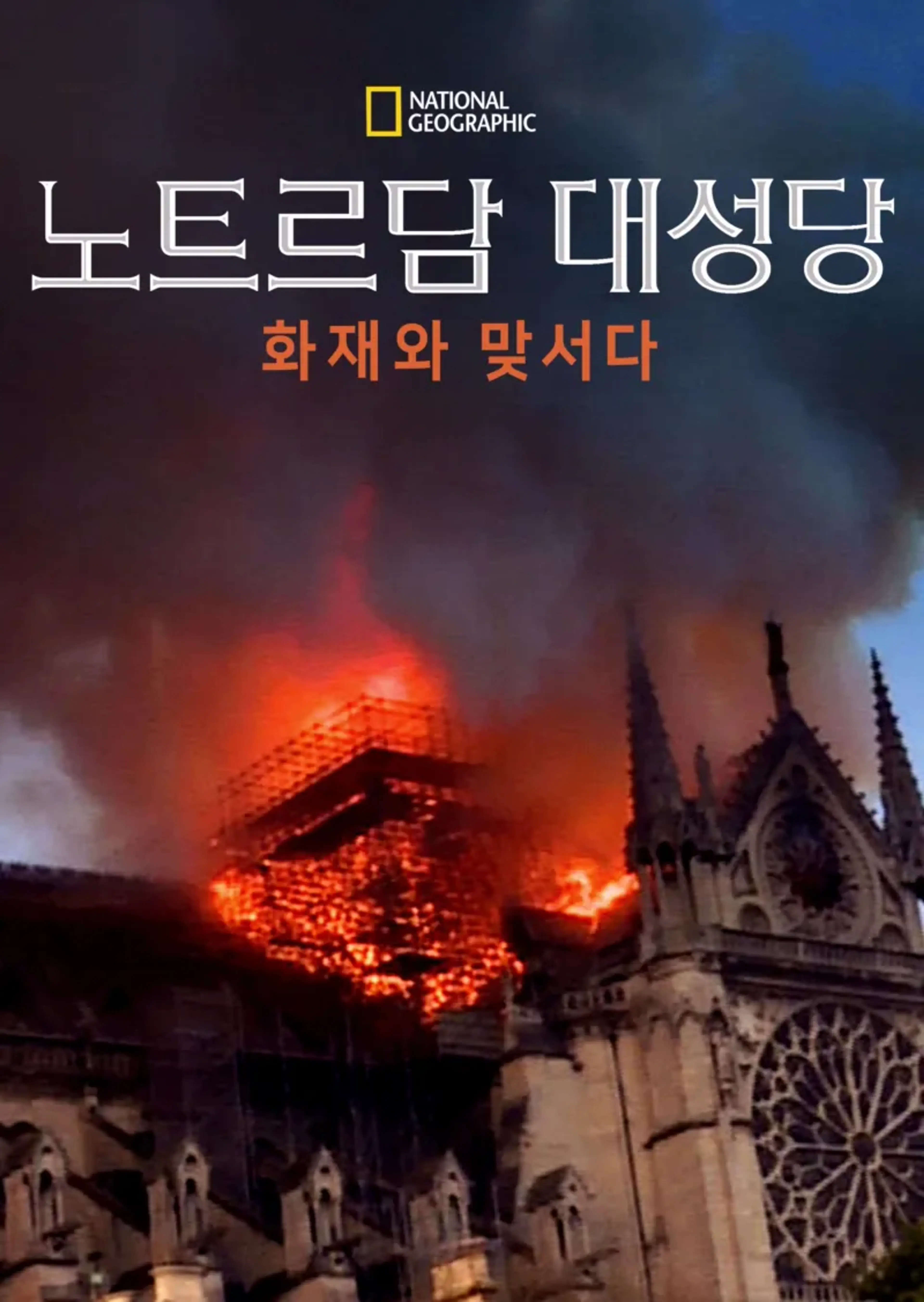 노트르담 대성당: 화재와 맞서다