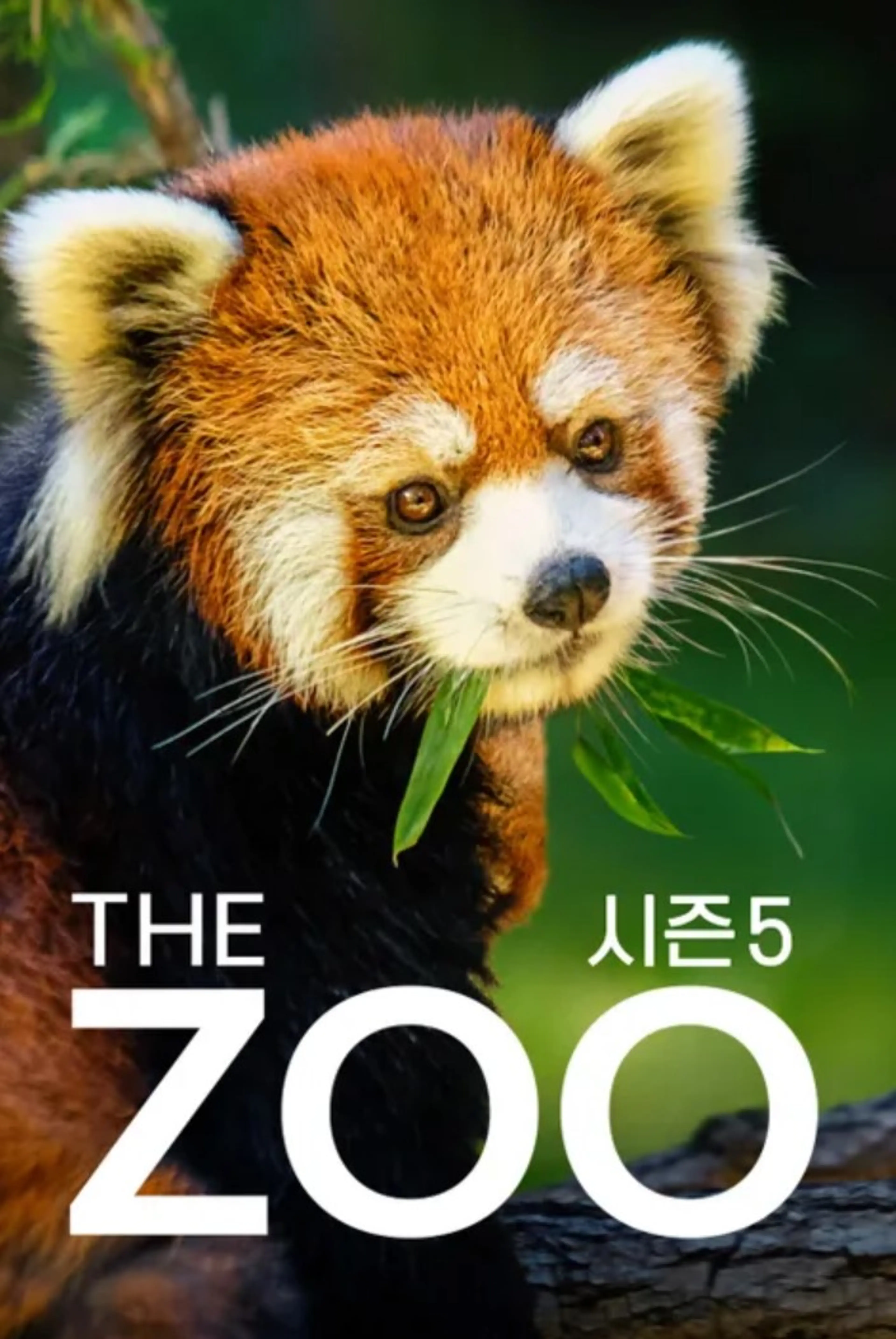 THE ZOO 시즌5