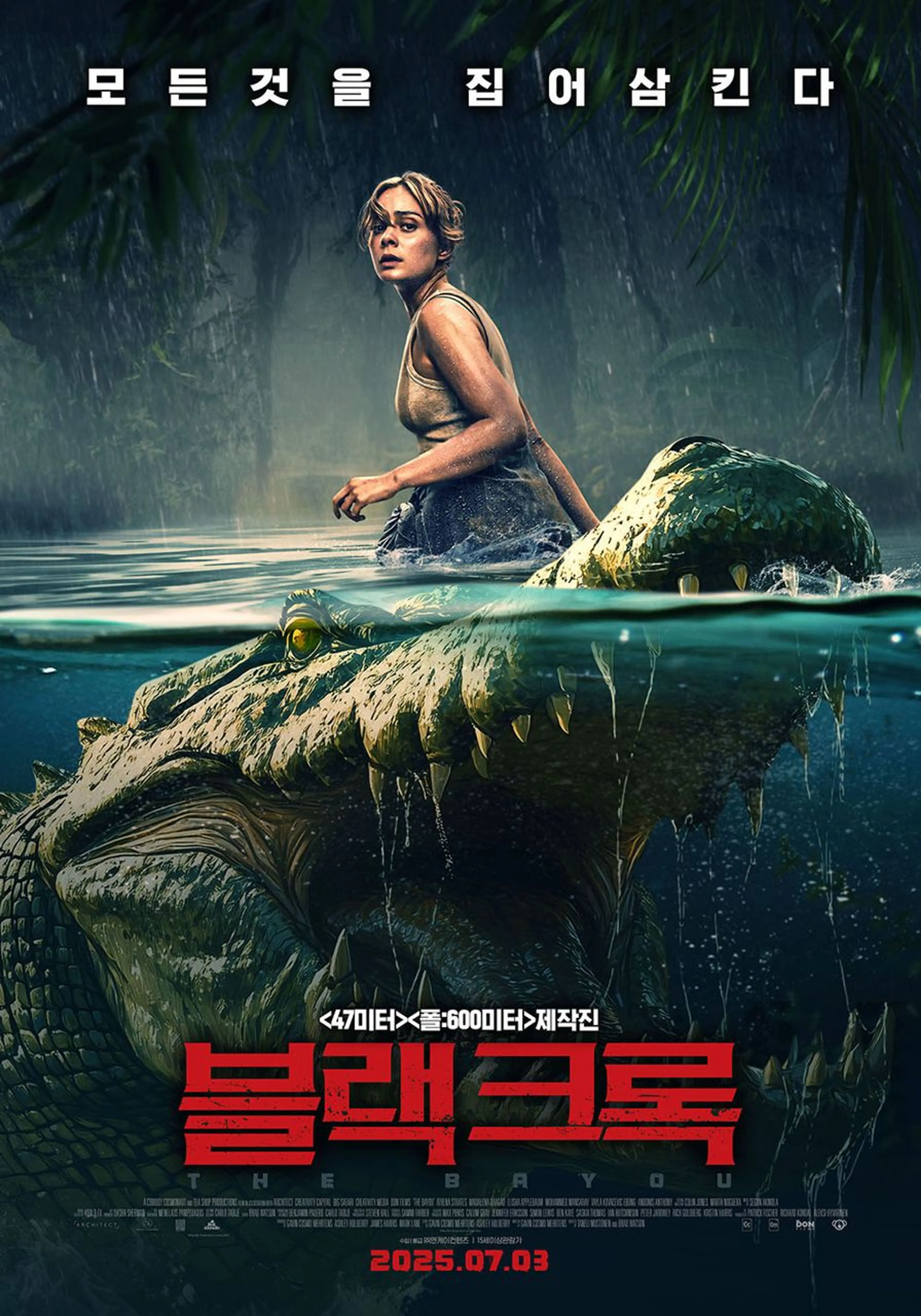 블랙 크록