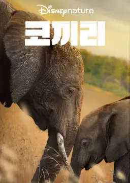 코끼리